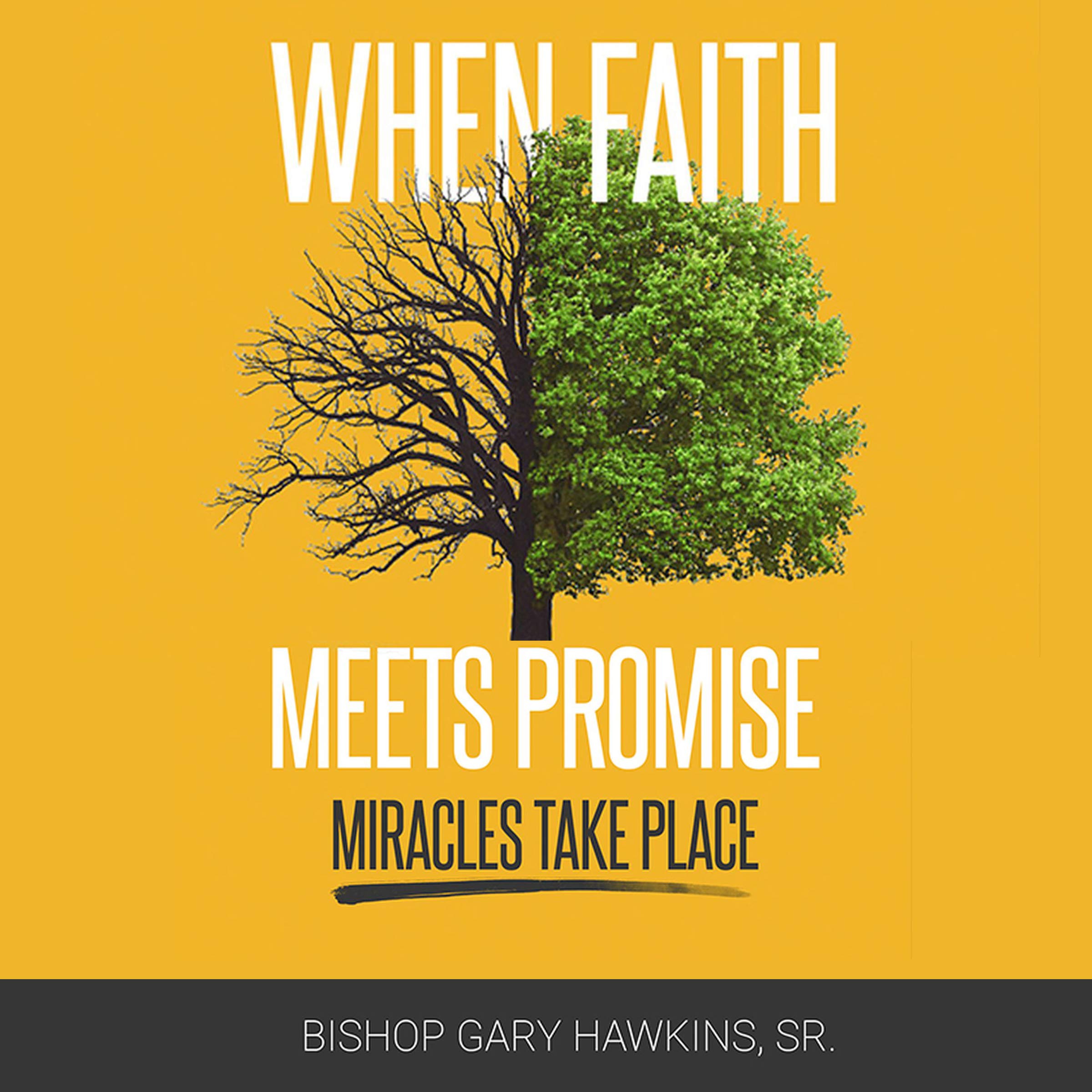 When Faith Meets Promise: Miracles Take Place