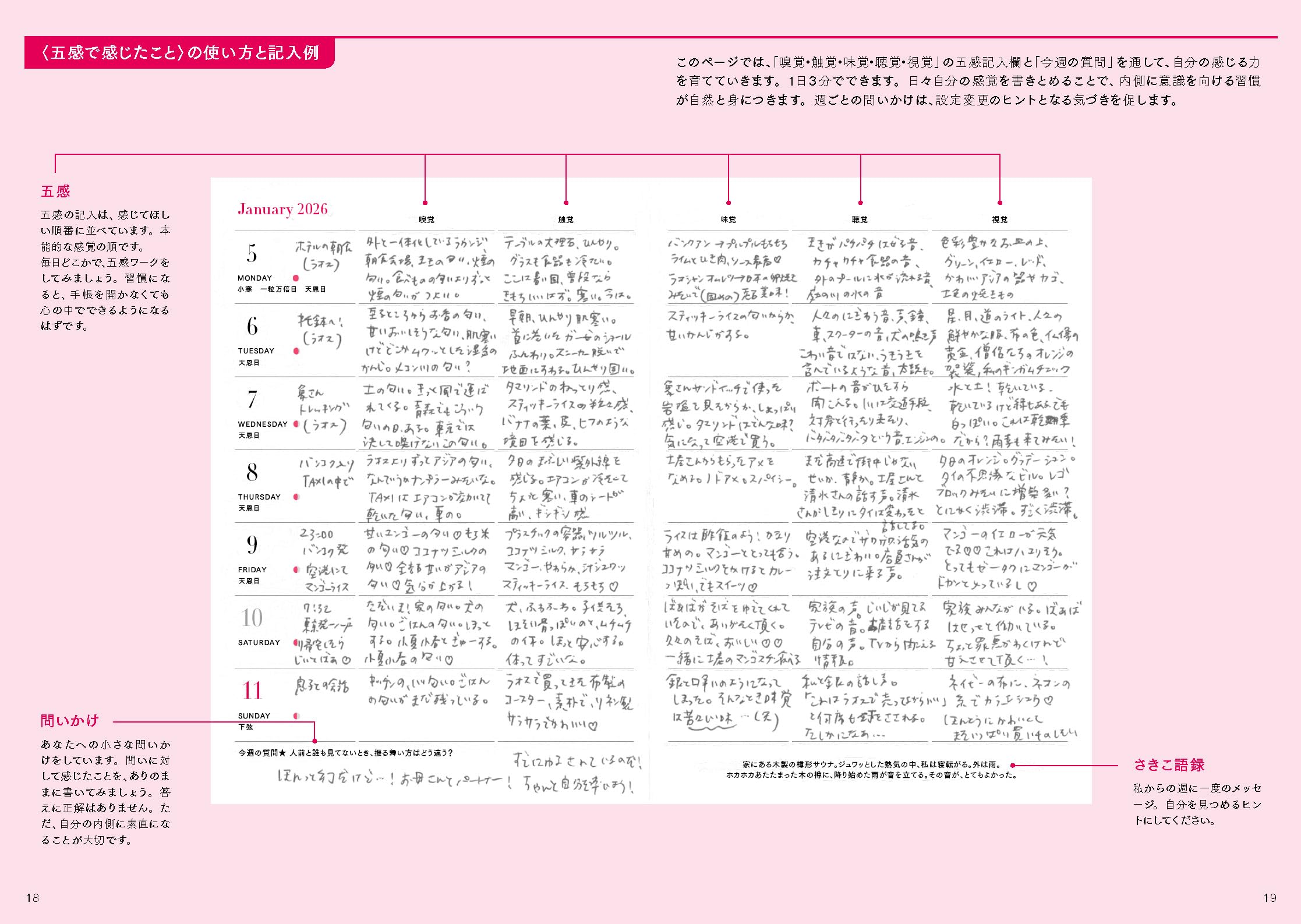 Amazon.co.jp: 藤本 さきこ: 本、バイオグラフィー、最新