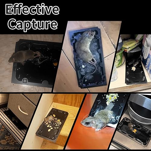 Miniatura 2 de Paquete de 12 trampas adhesivas para ratones para ratones para interiores, con sabor a maní, feromonas con sabor a maní, trampas adhesivas con