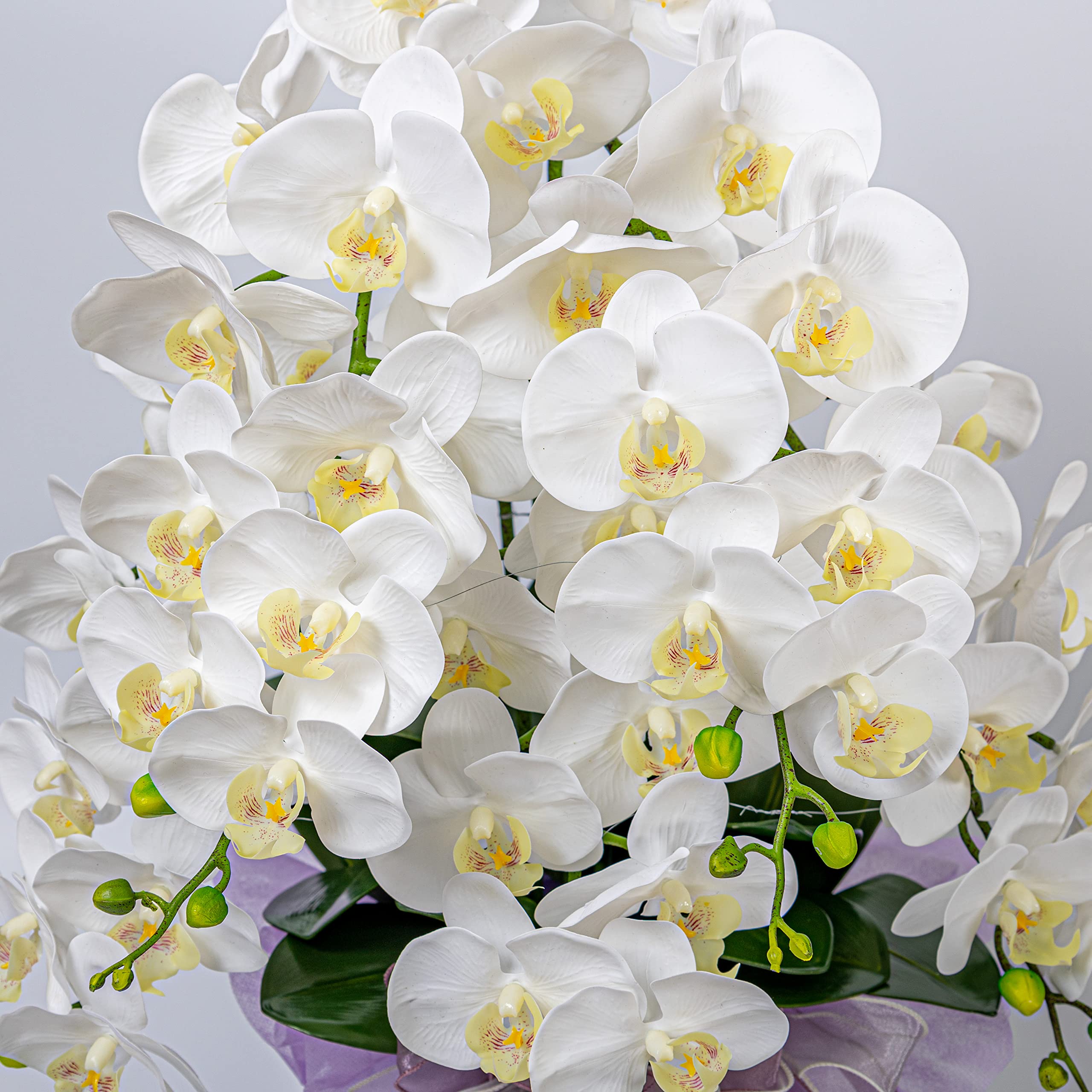 Amazon｜胡蝶蘭 5本 白 造花 1個 花瓶付き 立札 メッセージカード
