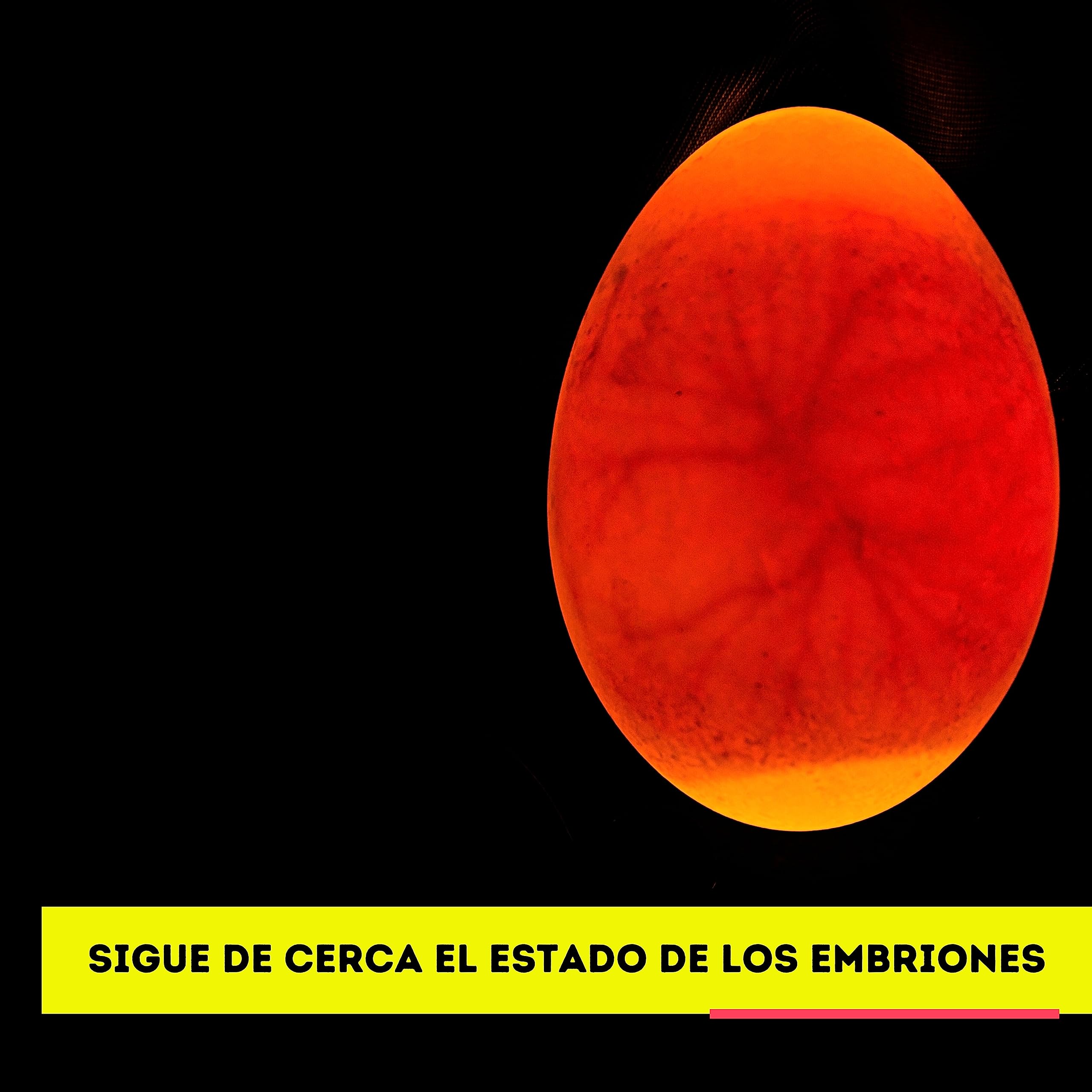 FINCA CASAREJO Monitor Buddy MK II Biometrischer Monitor