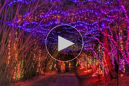 Amazon.com: Toodour Orange & Purple Halloween Lights, 25ft