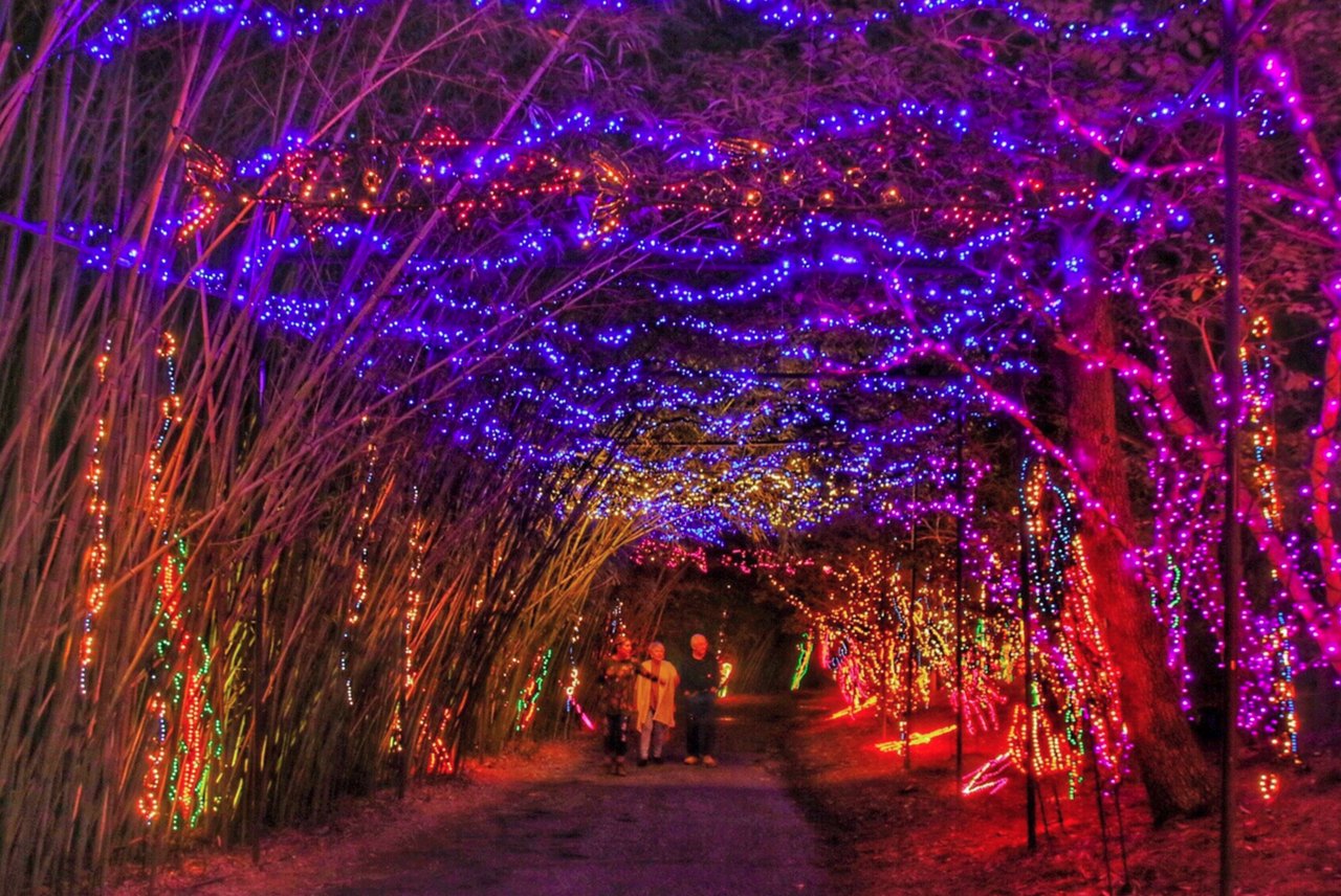 レア！ チップとデール LEDライト Happy Holidays LED Happy Holidays Signs, Ropelight Sign – HolidayLights.com