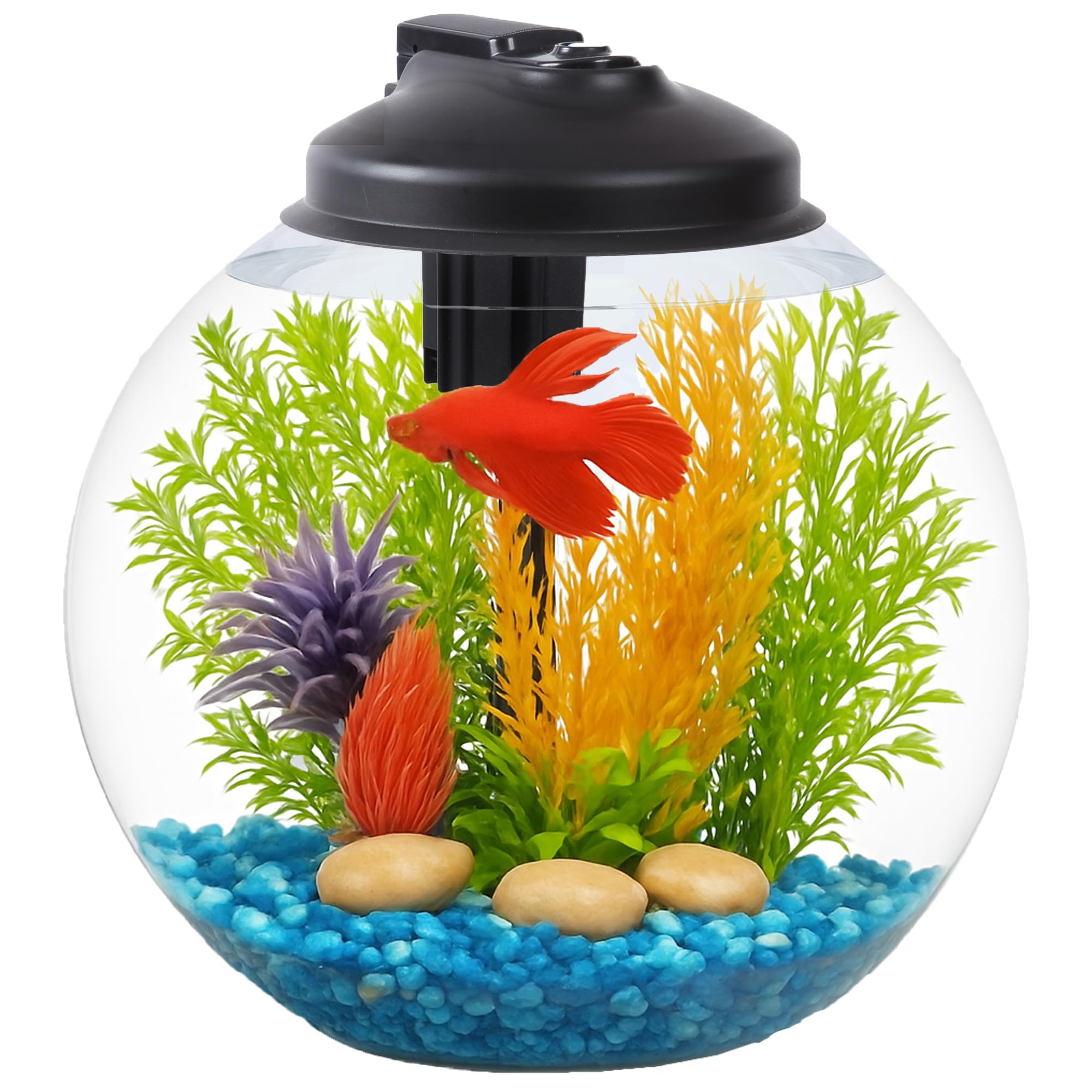 SW PRODUCTS 3-Gallon Fish Tank