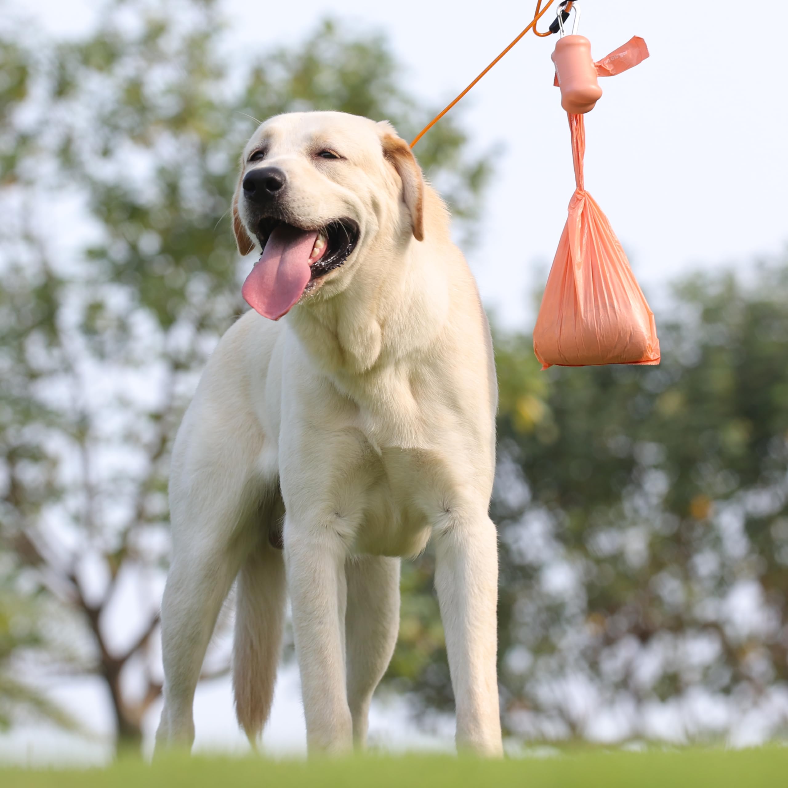 Deo Doo Lot de 60 rouleaux de sacs à déjections canines avec poignées, 720 pièces, de grandes tailles, anti-fuite et extra épais, pour promener les chiens de petite, moyenne et grande taille, avec 2