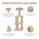 Ver la foto 2