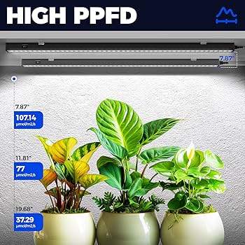 Amazon.com : Barrina T5 Grow Lights for Indoor Plants, 2FT