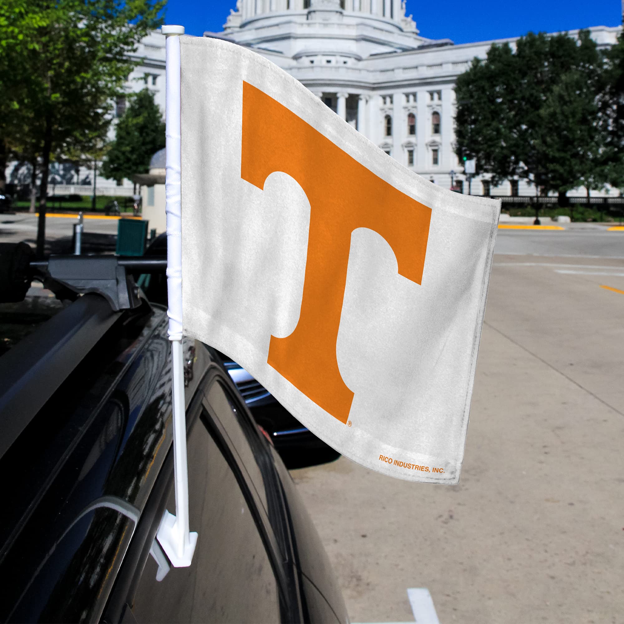 Forever Wave Paw Print Flag