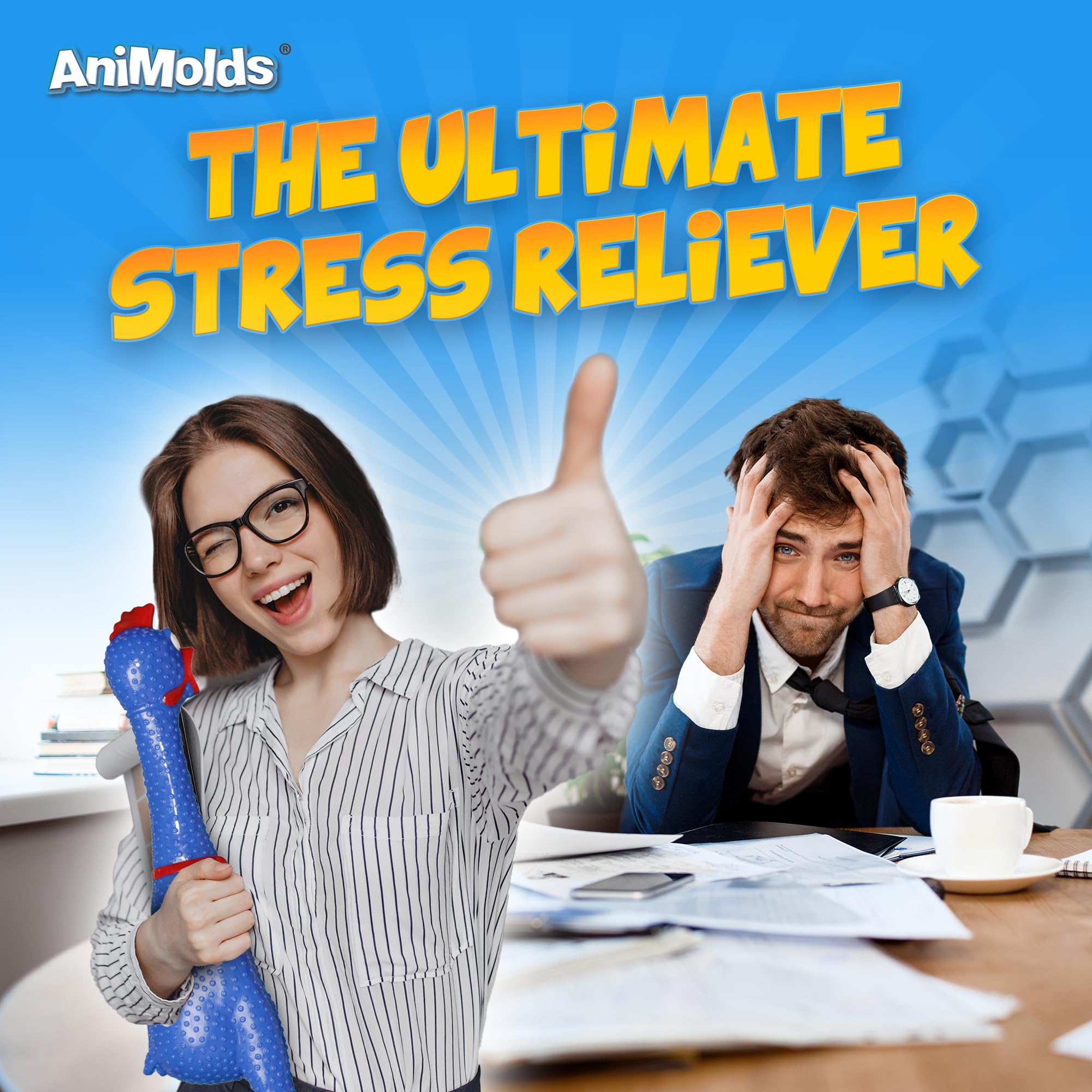 https://m.media-amazon.com/images/I/81cUIFul1OL.jpg
