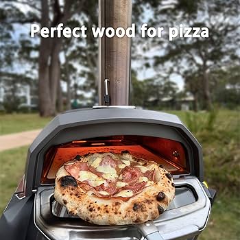 81cUISku4fL._AC_UF350,