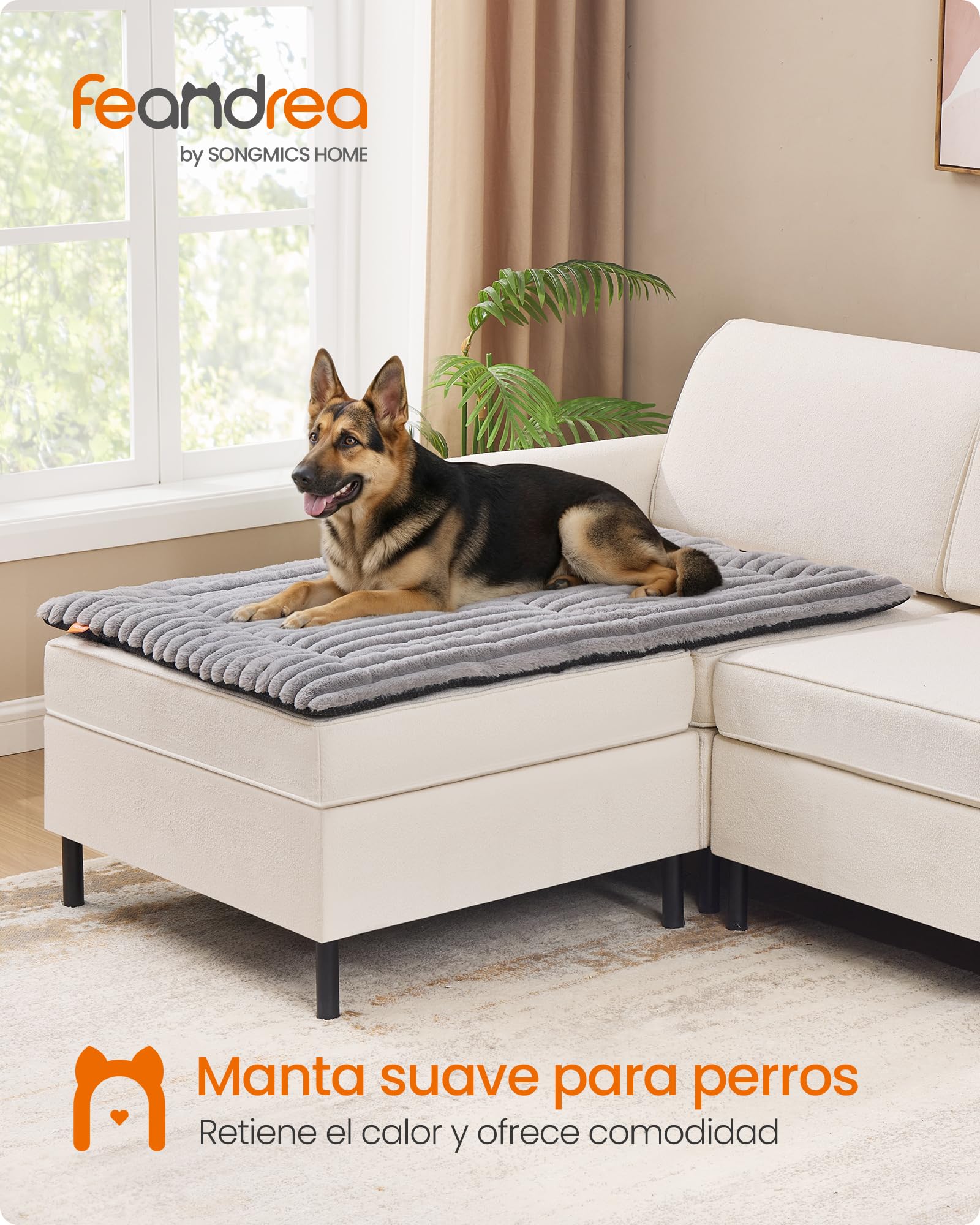 Feandrea Manta para Perros, XXL, 120 x 75 cm, Alfombra para Mascotas para Perros y Gatos, Lavable a Máquina, Protector de Sofá, Gris Paloma PPB045GD01