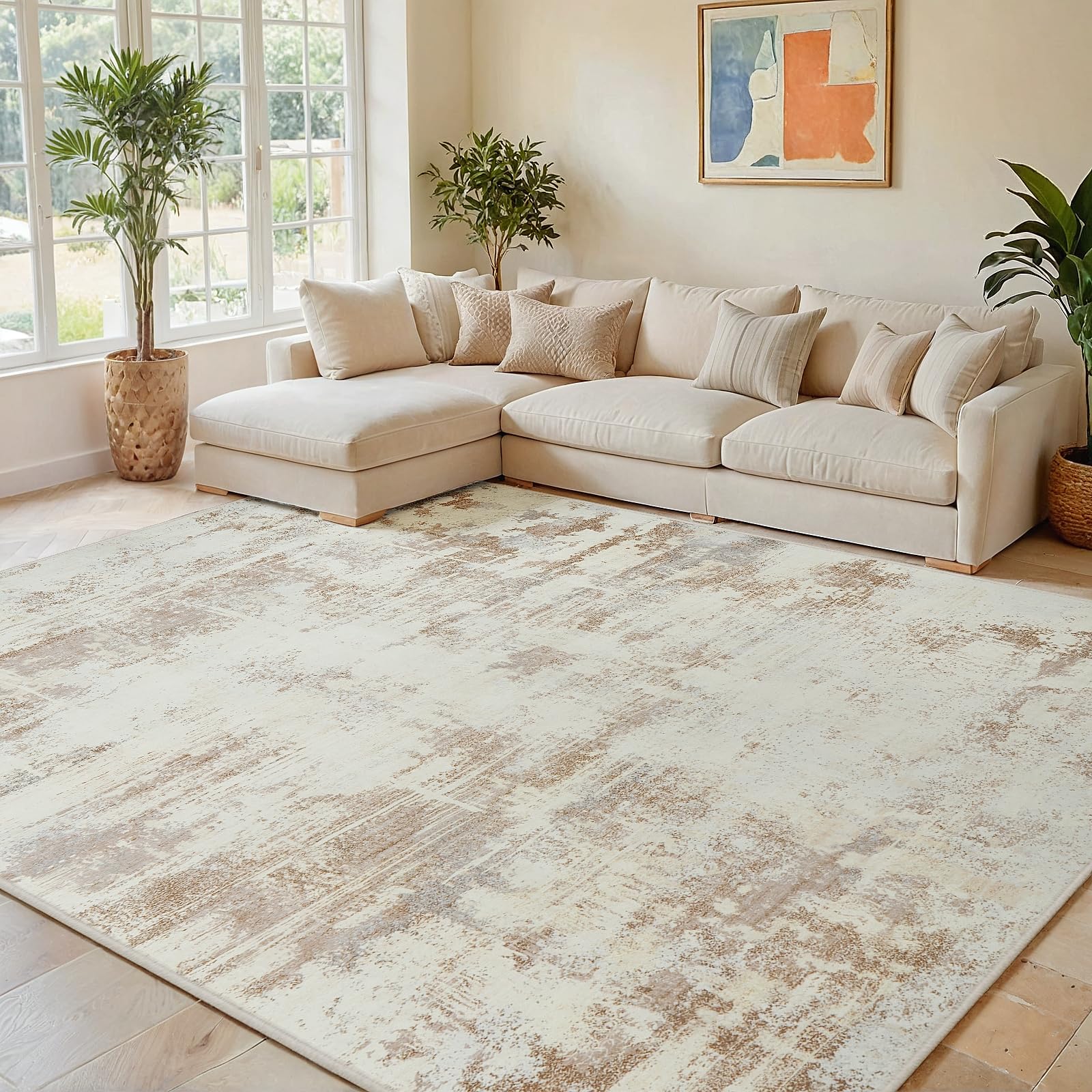 Area Rug Living Room Rugs 5x7 Indoor Soft Fluffy Rug Abstract Carpet for Bedroom Kitchen Dining Room Floor