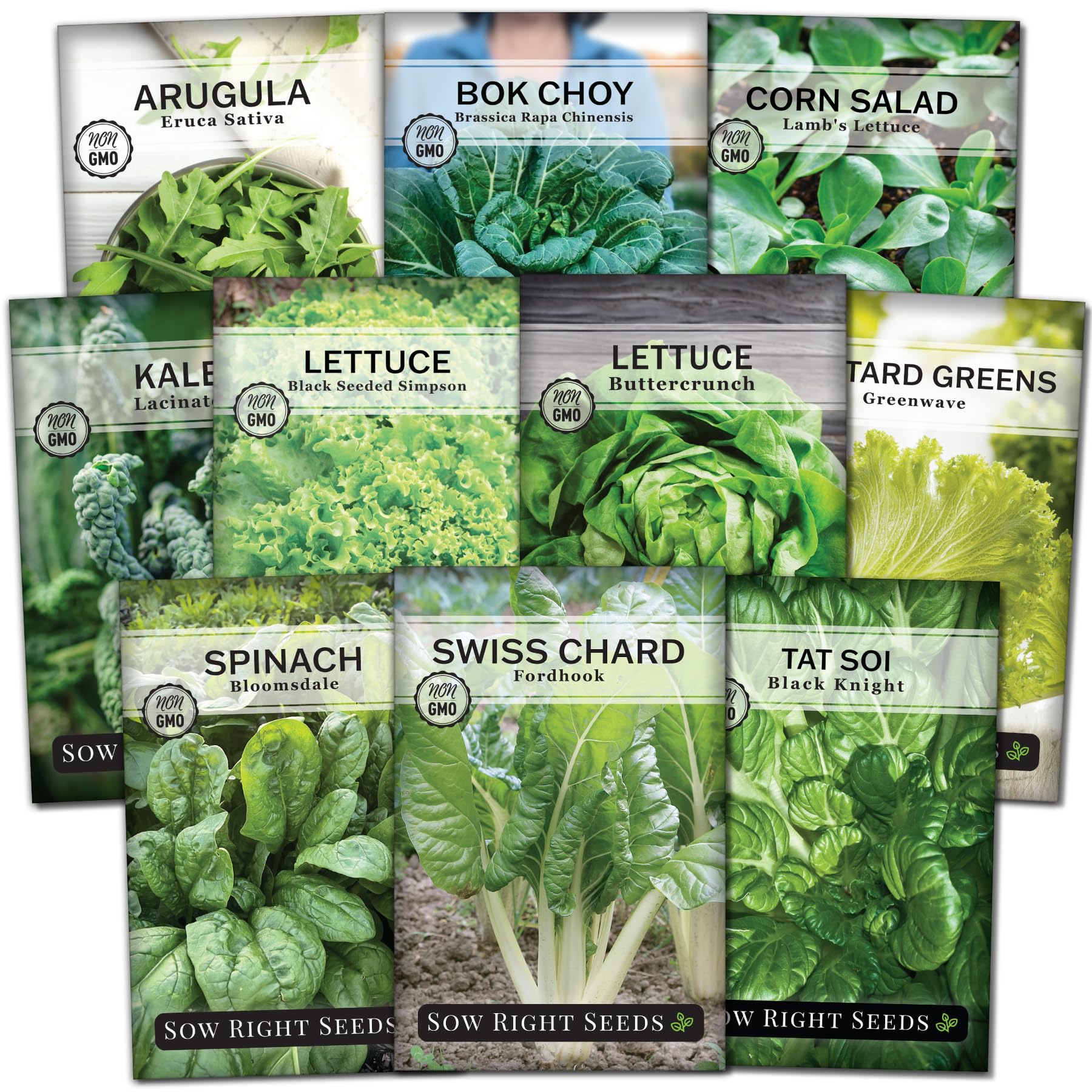Sow Right Seeds - Large Greens Seed Collection for Planting - Spinach, Arugula, Kale, Lettuce, Tat SOI, Pak Choi and Rainbow Swiss Chard - Non-GMO Heirloom - Plant and Grow a Home Vegetable Garden