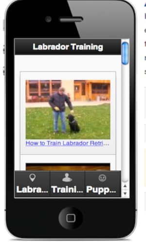 Ladrador Retriever Training – vue 2