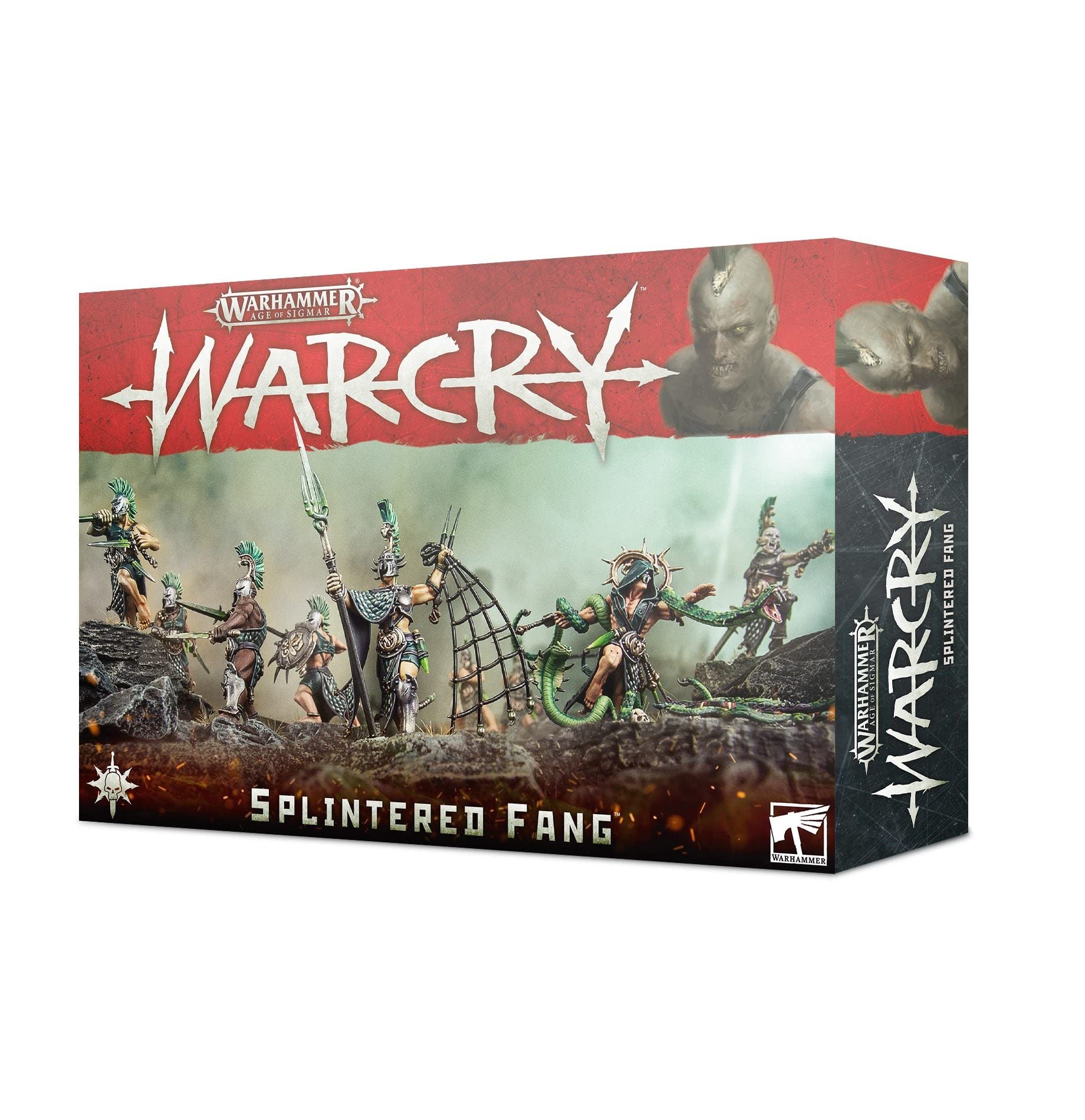 (セット)Warhammer テレイン　ダイス　Warcry セット AoS: Warcry - Unboxing The Starter Set - Bell of Lost Souls