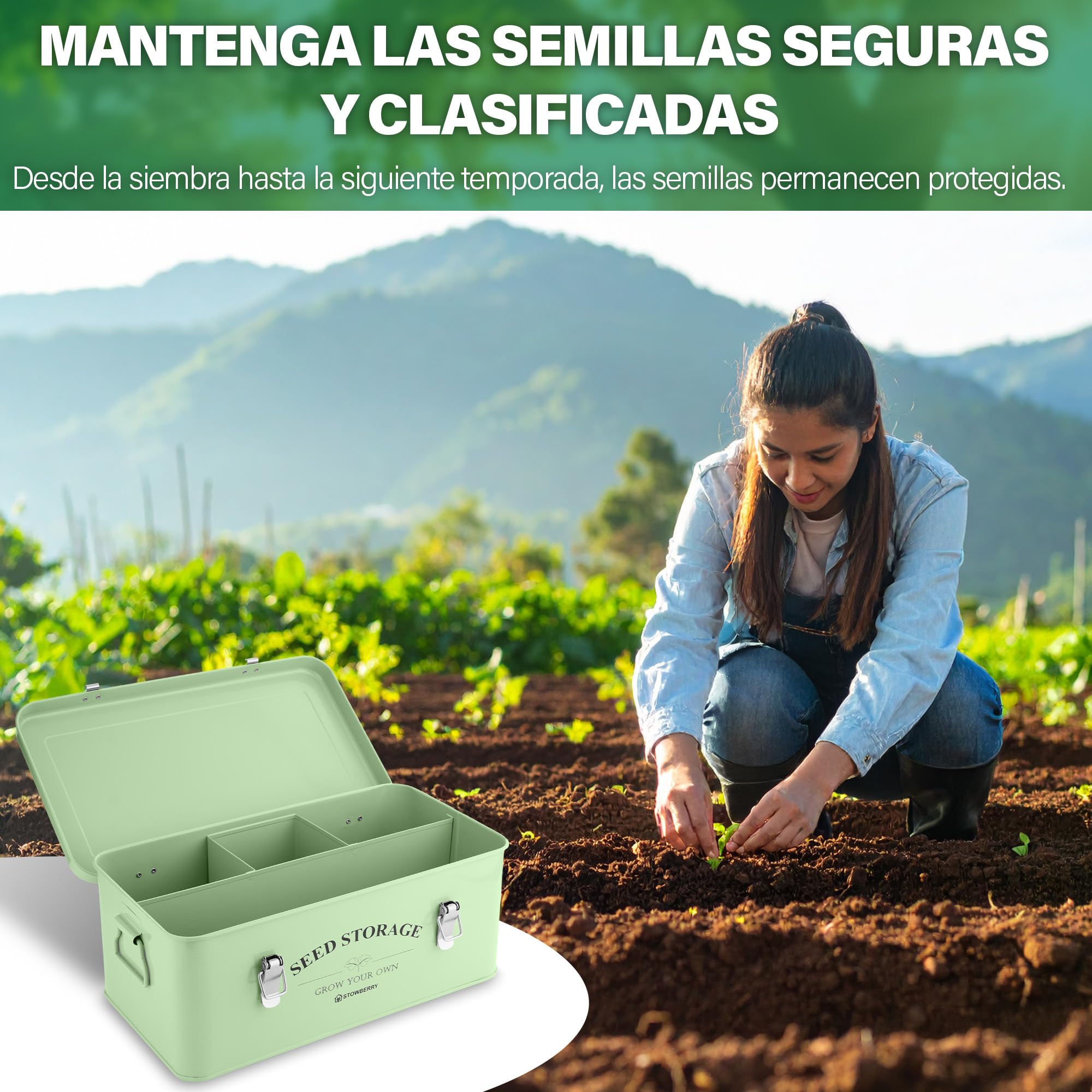 Caja organizadora para almacenar semillas: caja para semillas de jardín con tapa, asas y 4 compartimentos, contenedor para paquetes de semillas, ideal para regalar en jardinería