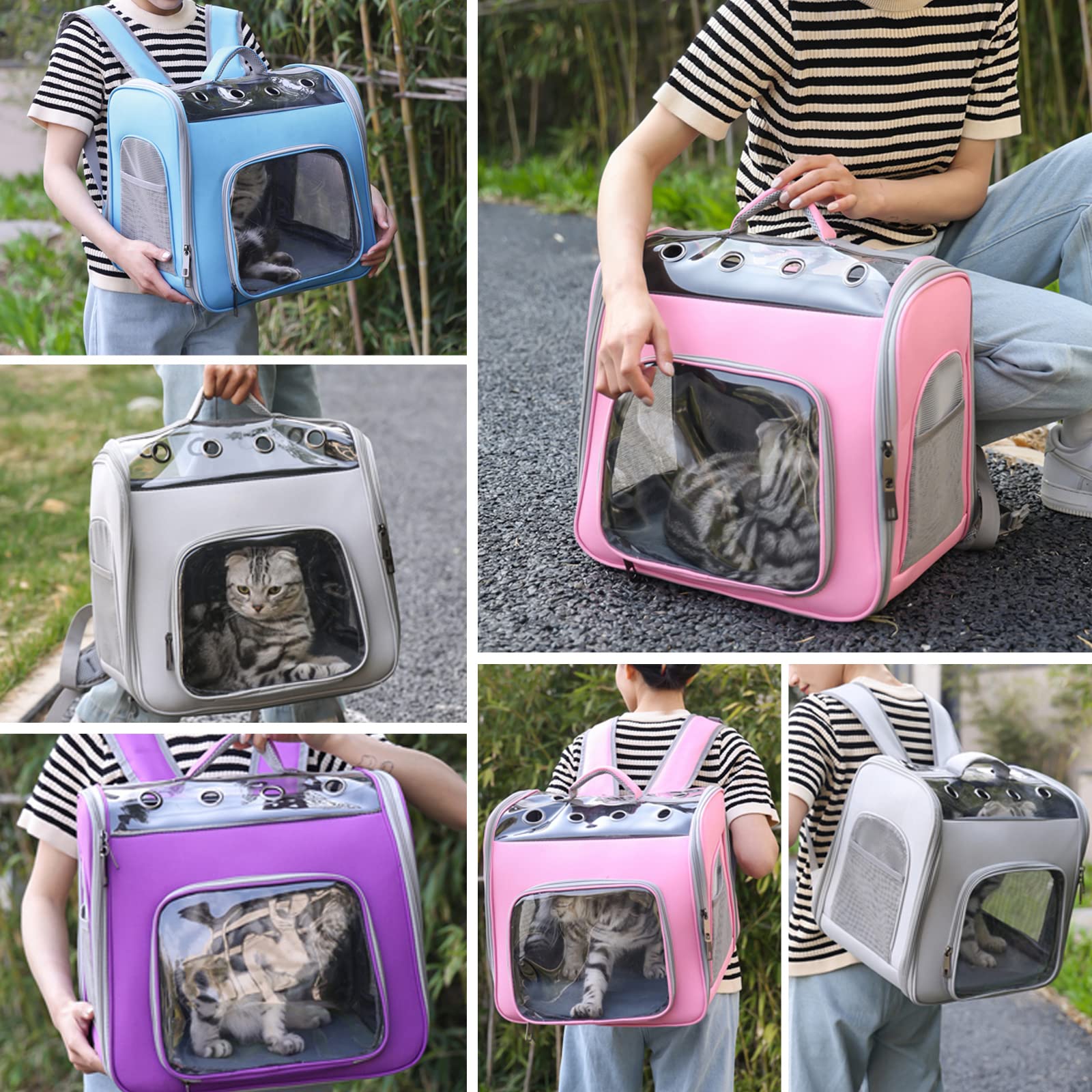 Galatée Katzenrucksack, Atmungsaktiver Haustierrucksack Mit Frontöffnung, Faltbare Rucksacktasche, Atmungsaktives Netzfenster, Hunderucksack Zum Wandern, Spazierengehen, Reisen(Lila)