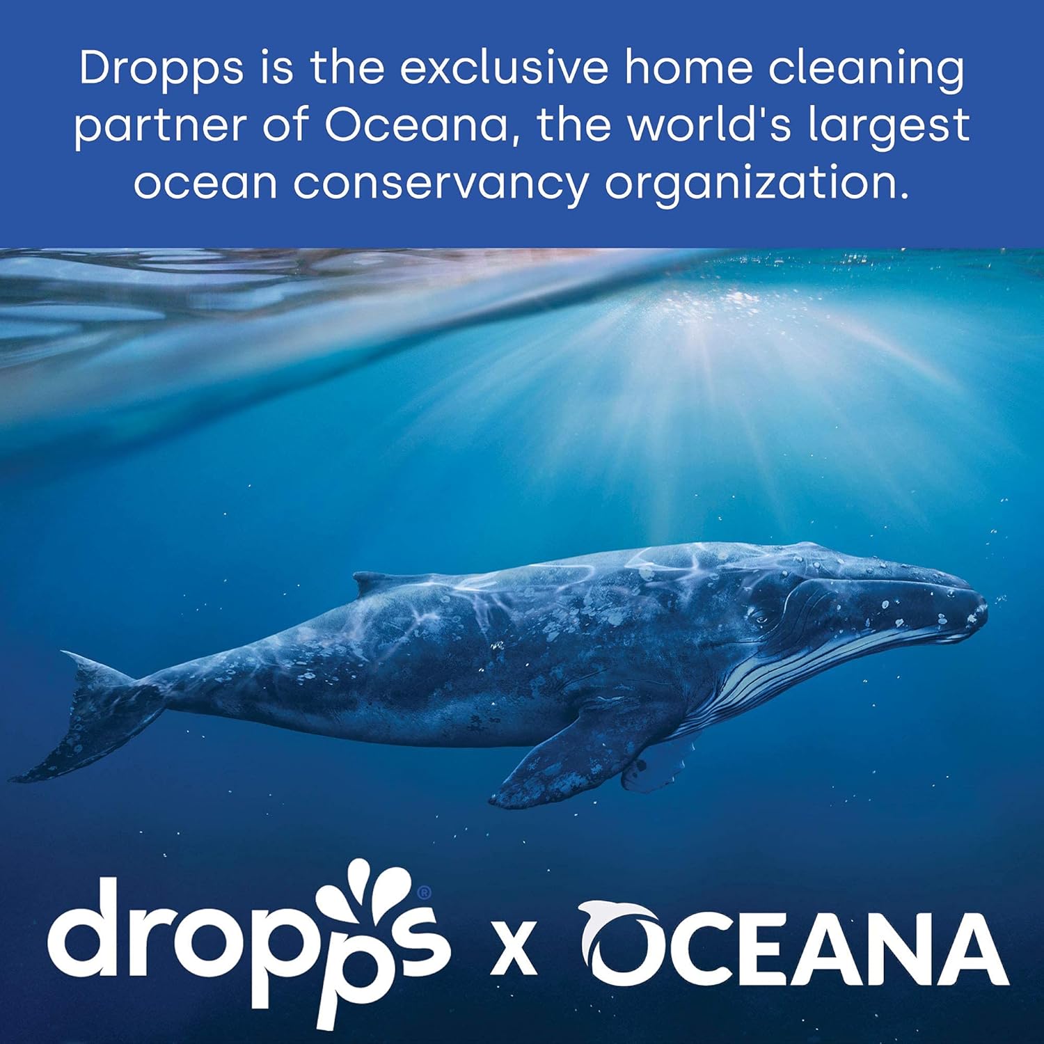 Dropps Dishwasher Detergent Pods: Lemon | 32 Count | Sparkling Shiny Dishes | Powers Away Baked On Food | Deep Cleans No Pre-Wash | Powered by Natural Mineral-Based Ingredients | Low Waste Packaging… : Health & Household