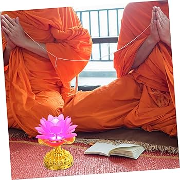 Amazon.co.jp : CRILSTYLEO 1個 カラフル ロータス ランプ カラー 変化