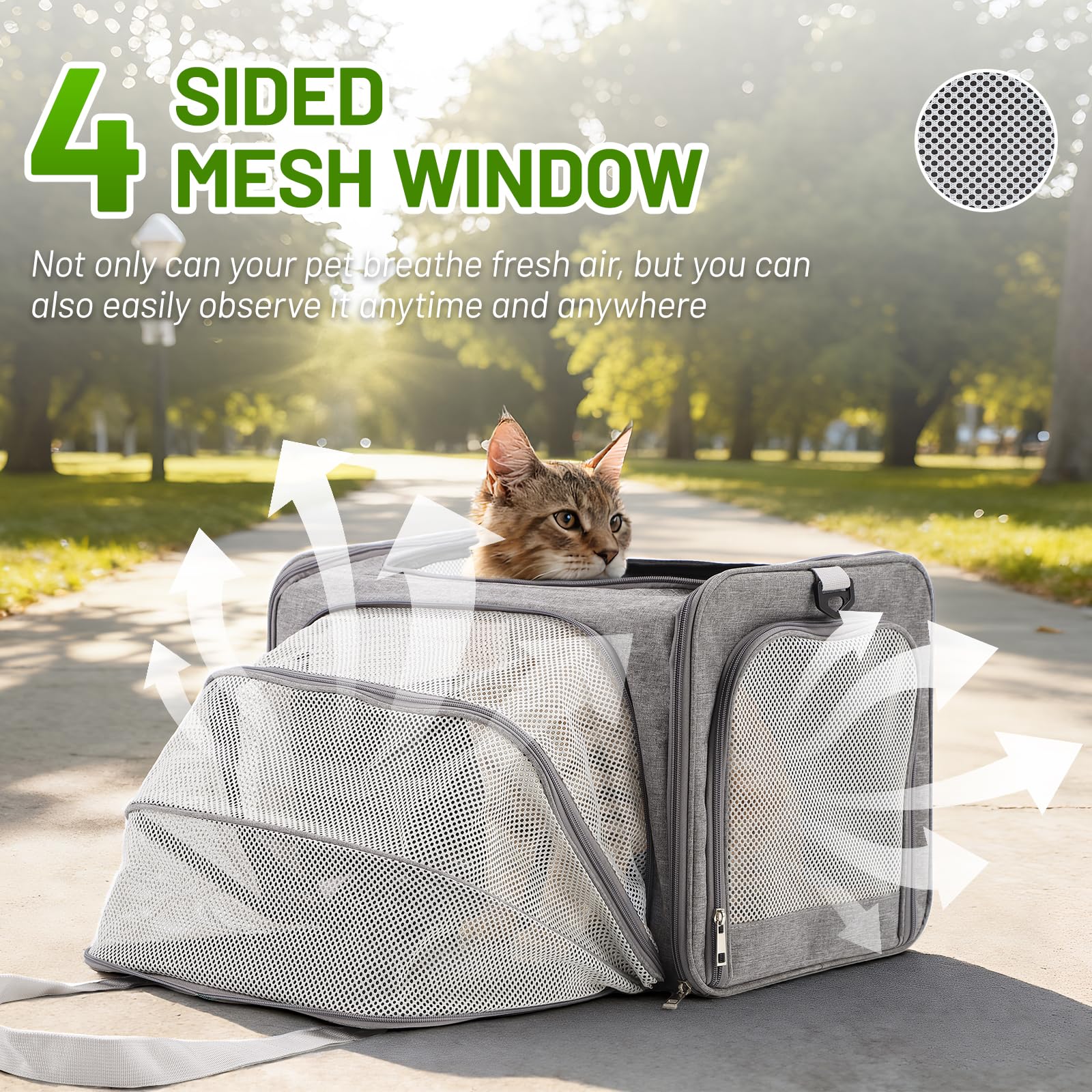 Cat Carrier, Expandable Pet Travel Carrier, Airline Approved Soft Sided Cat Travel Bag with Safety Belt，Adjustable Carry Handle & Shoulder Strap, Portable Cat Bag for Small Pet Dog Kittens - image 4