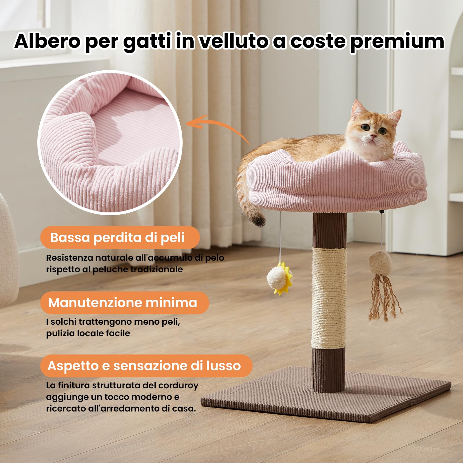 Gardner Pet 50cm Tiragraffi per Gatto, Piccolo Albero per Gattini e Gatti Interni, Rivestimento Rimovibile, Colonna in Sisal, con Giocattolo, Stabile, Marrone, Forma Semicircolare
