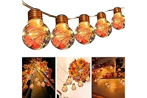 zokbom Fall Maple Leaf String Light