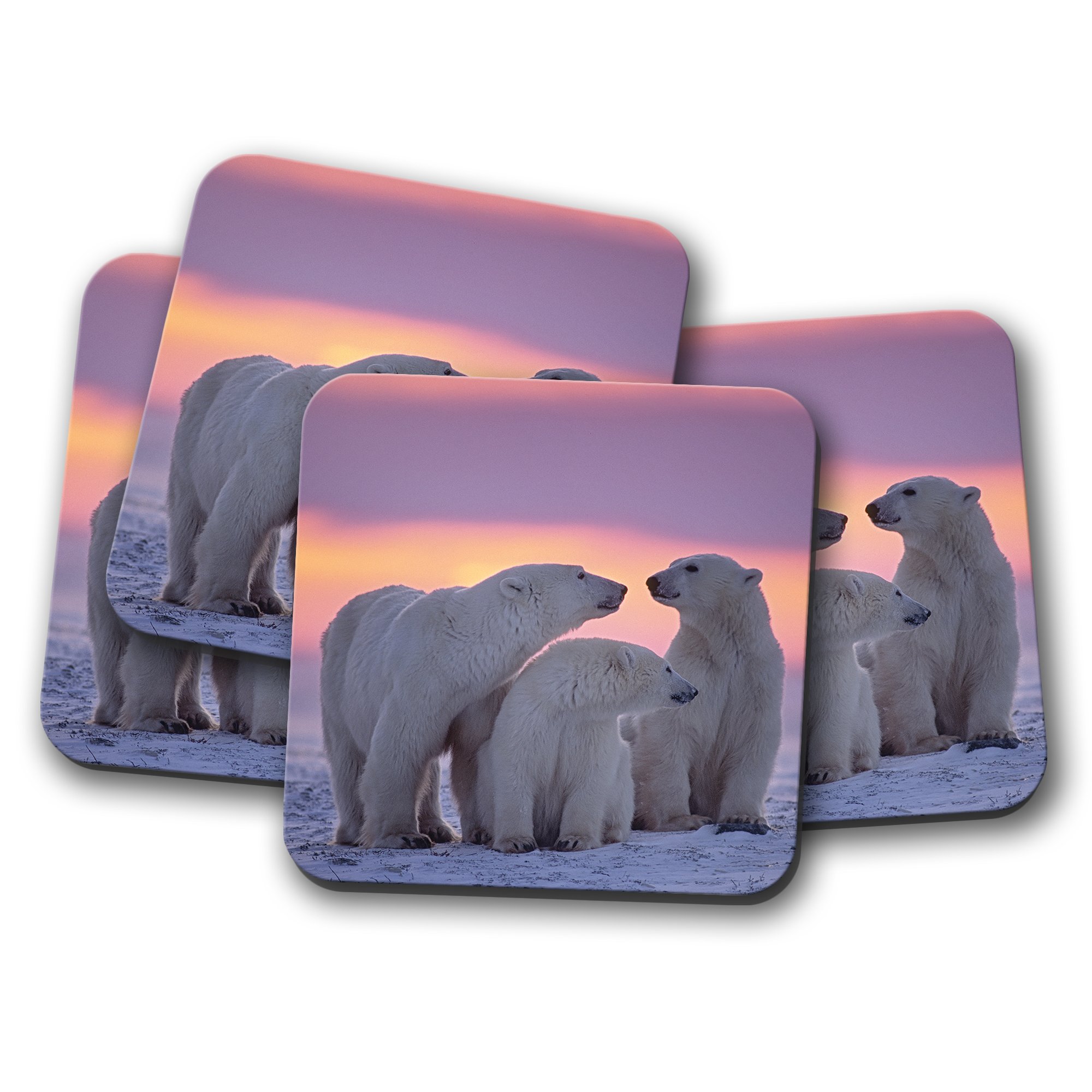 Destinationvinyl Multicolor 4 Set - Gorgeous Polar Bear Cork Backed Drinks Coaster - Sunset Animal Bears #8310