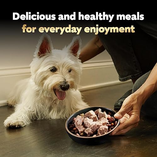 Miniatura 9 de CESAR Wet Dog Food Classic Loaf - Comida húmeda suave para perros adultos en salsa, receta de pollo y carne de res, (24) 3.5 onzas bandejas fáciles