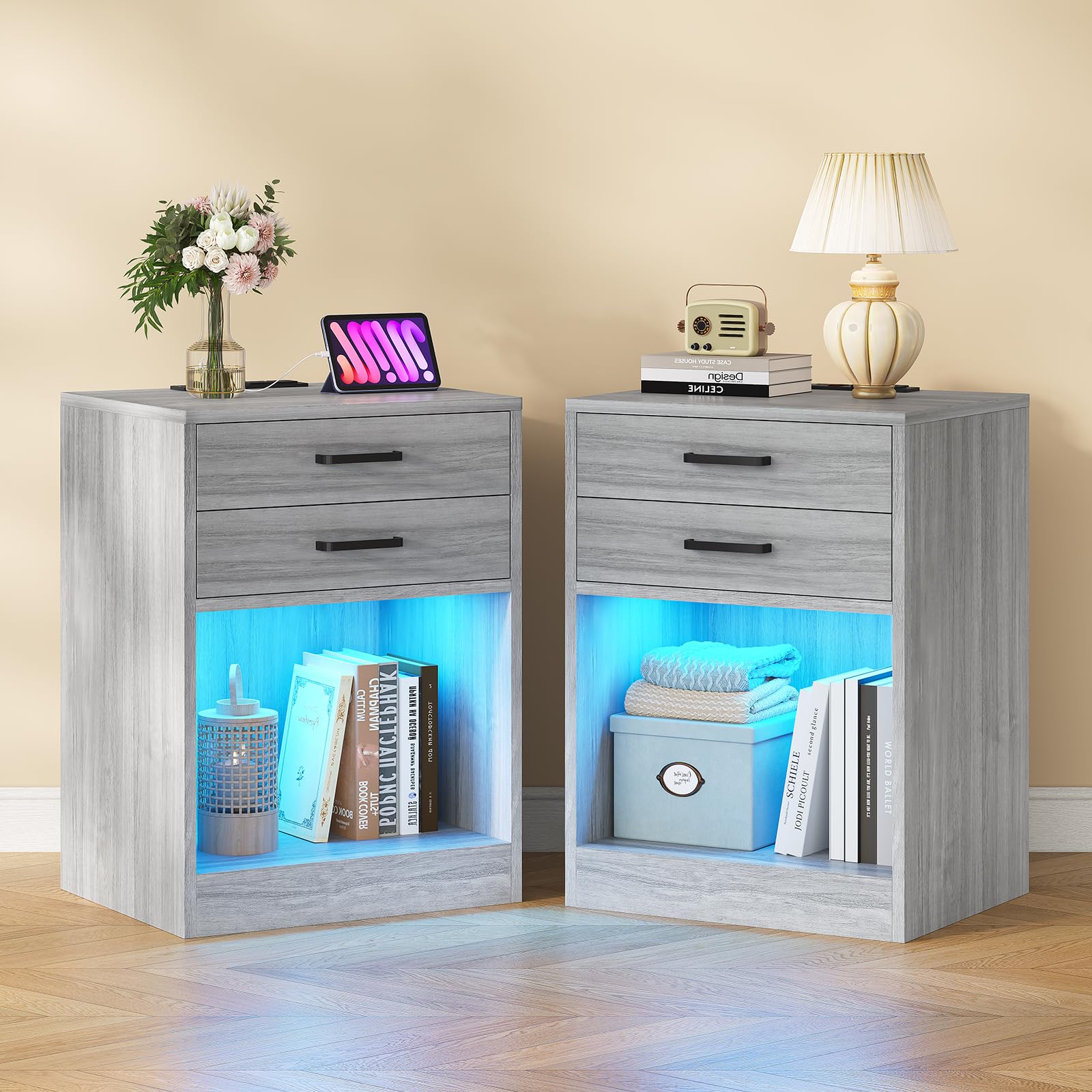 ADORNEVE LED Nightstands Set of 2,Night Stands for Bedrooms Set of 2,Nightstand with Charging Station and LED Lights,Bedside Table with Drawers & USB Ports (Grey)