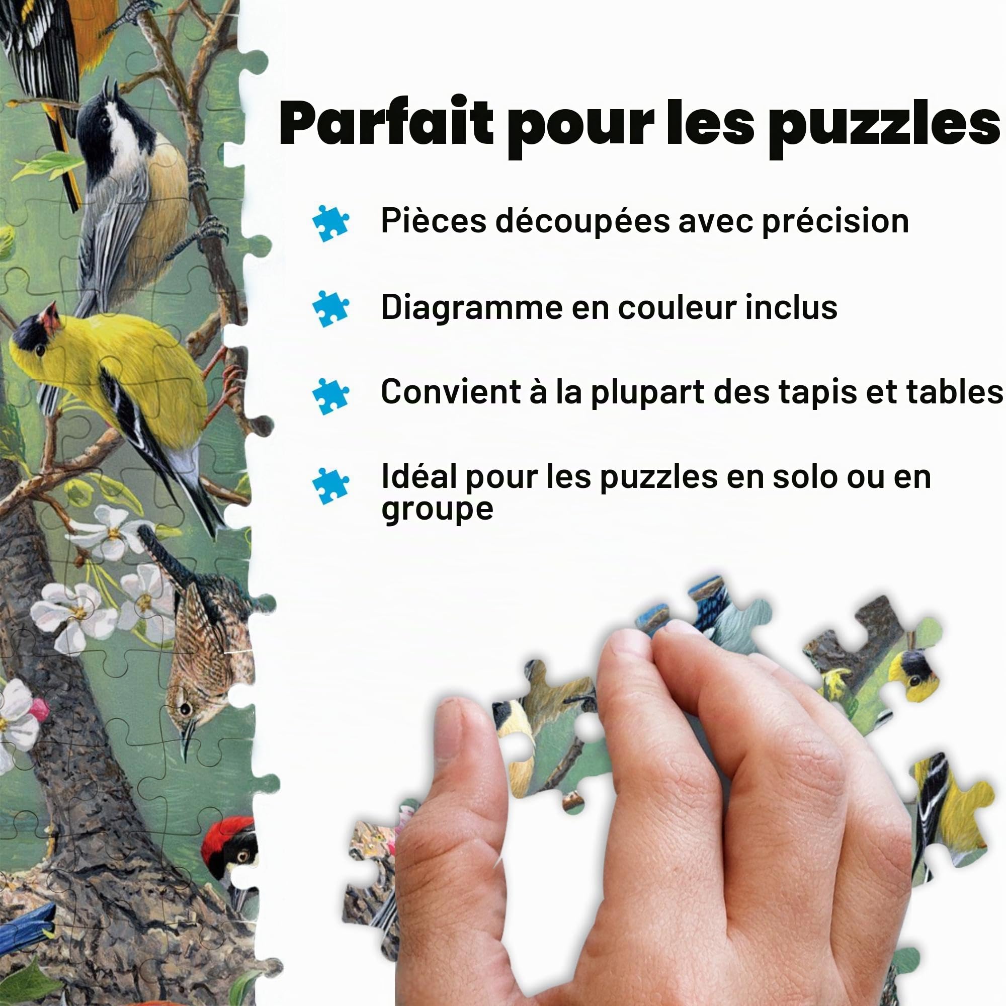 Buffalo Games - Frères Hautman - Oiseaux dans un verger - Puzzle de 1000 pièces
