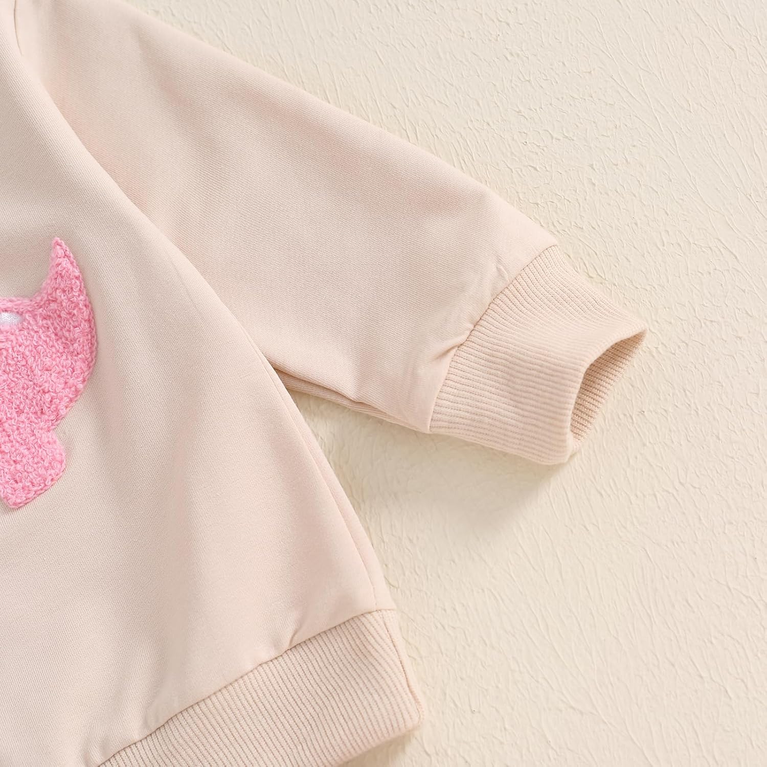 Newborn Baby Girl Clothes Long Sleeve Sweatshirt Dinosaur Embroidery Patterns Cute Sweatpants Set Fall Clothes - Image 3