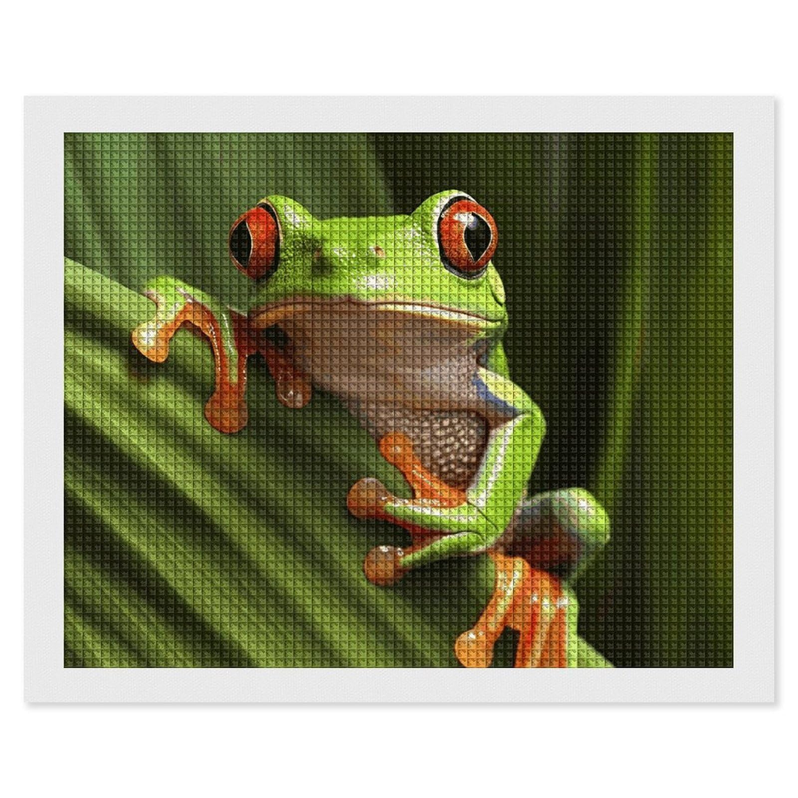 NONHAI Diamond Painting Kits for Adults - DIY Diamond Art Kits for Beginners - Full 5D Paint Drill Diamond Dots Paintings- Tree Frog Diamonds Pictures Gem Art and Craft Wall Decor 16"x20"