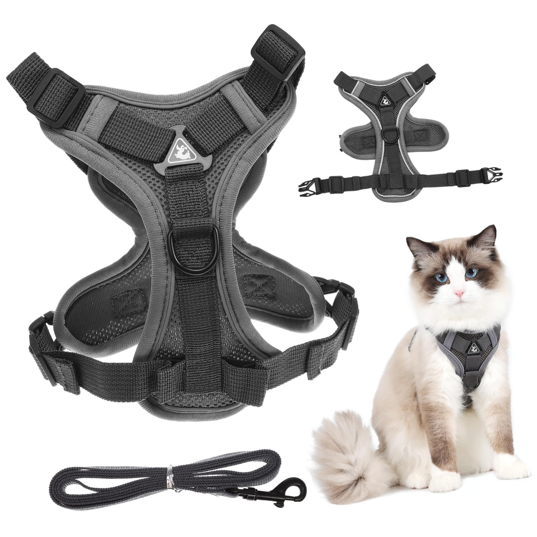 Sosoport 5 Pièces Type De Gilet Laisse De Marche pour Chat Accessoire pour Animaux De Compagnie Chiot Harnais De Marche en Plein Air Harnais De Chien De e pour Chat Laisse