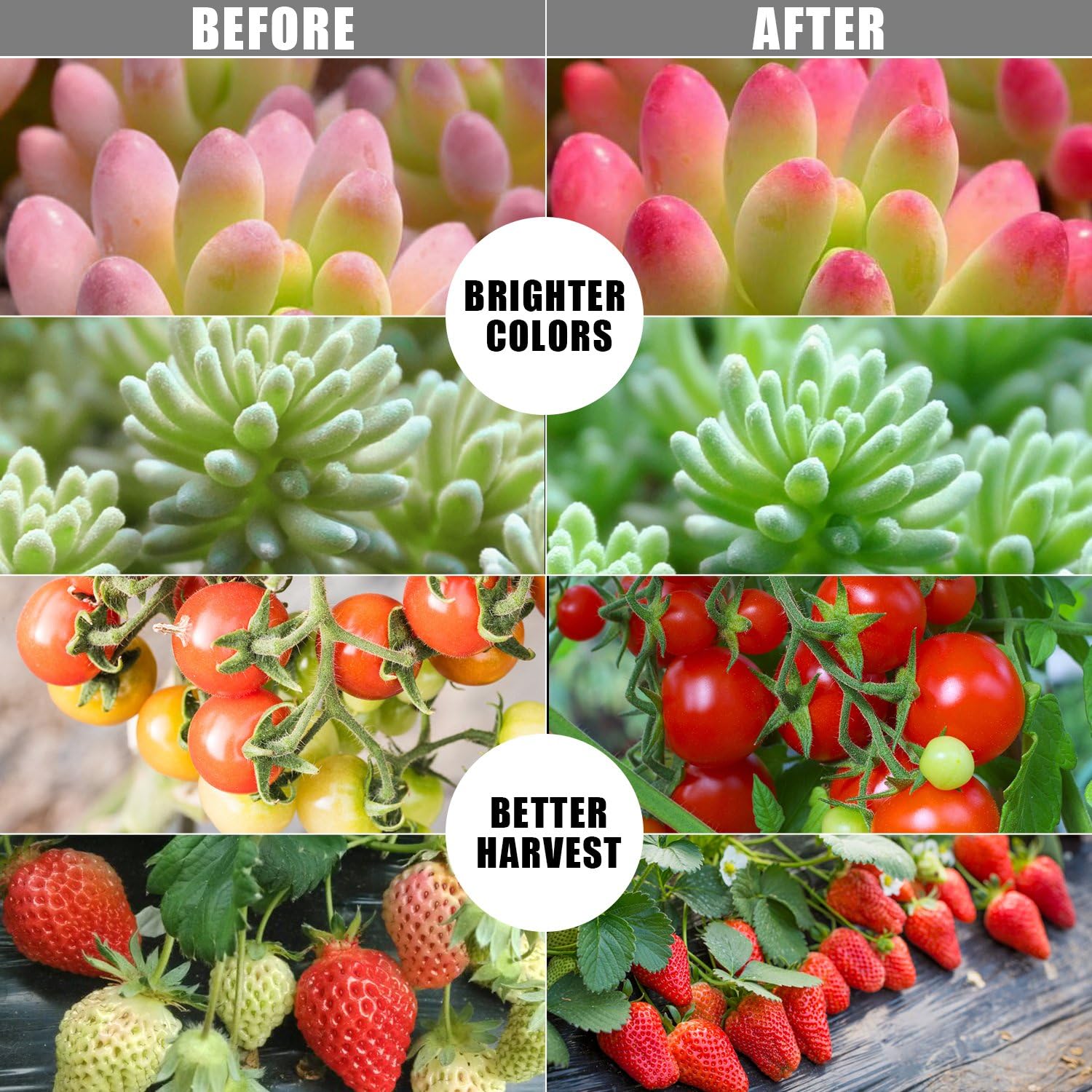 Grow Lights LED Plant Full Spectrum Single-Head 20W Clip-on Plant Grow Lights for Indoor Plant with Dimmable 3 Light Modes Timing Function Plant Grow Bulb Lamp Growing Light : Patio, Lawn & Garden
