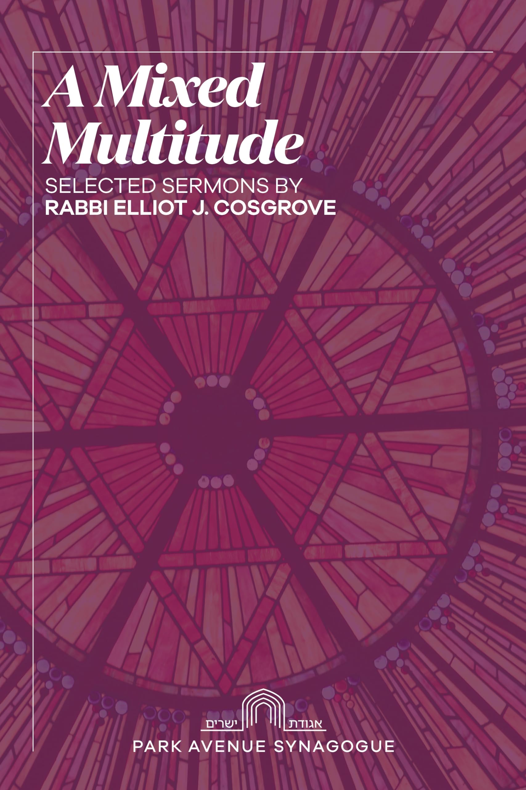 A Mixed Multitude: Selected Sermons by Rabbi Elliot J. Cosgrove