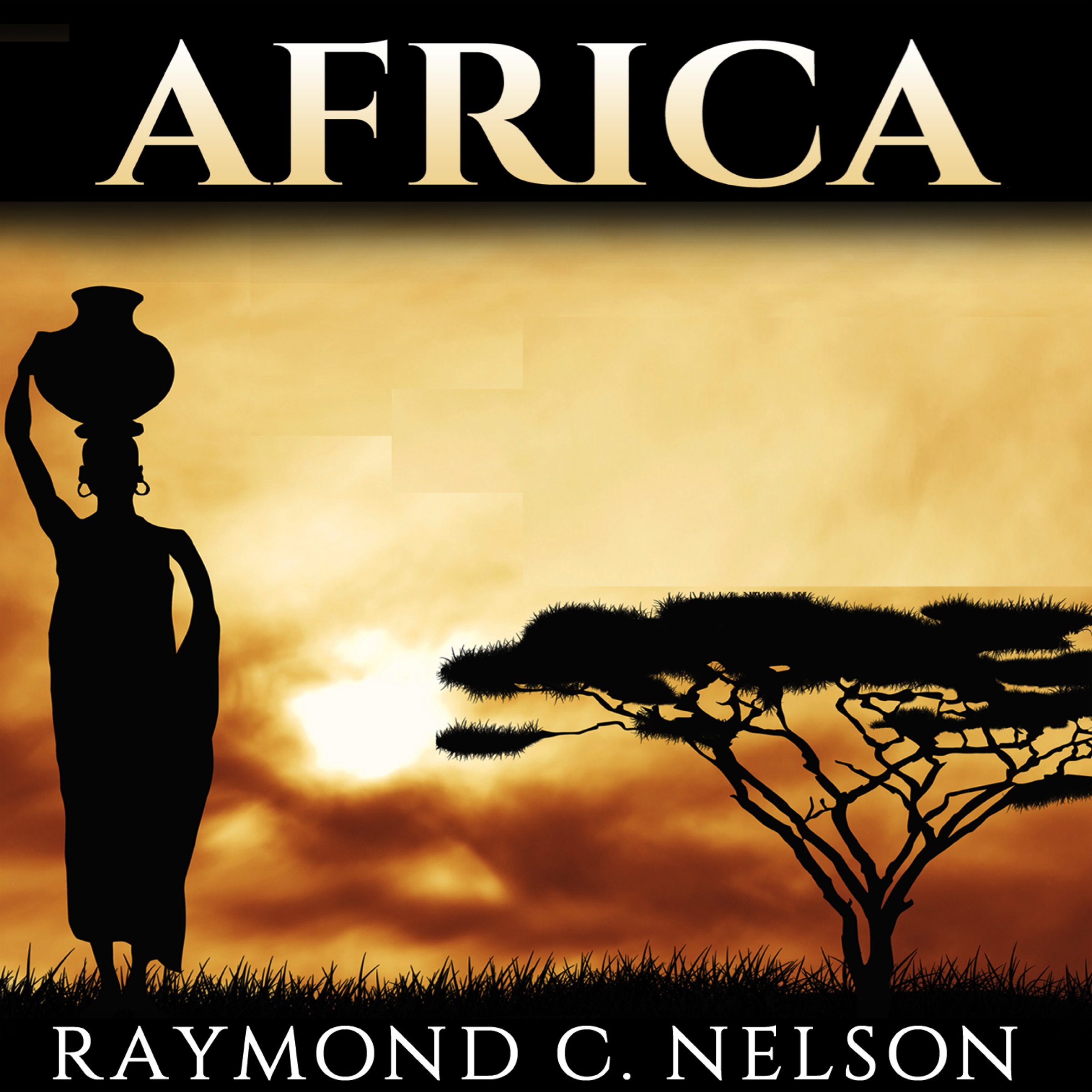Cover art for Africa: African History from Ancient Egypt to Modern South Africa