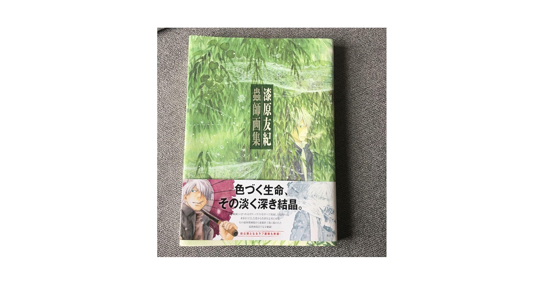 Amazon.co.jp: 蟲師 画集 漆原友紀 : ホーム＆キッチン