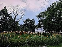 Review Image by brittany dodd brittany dodd