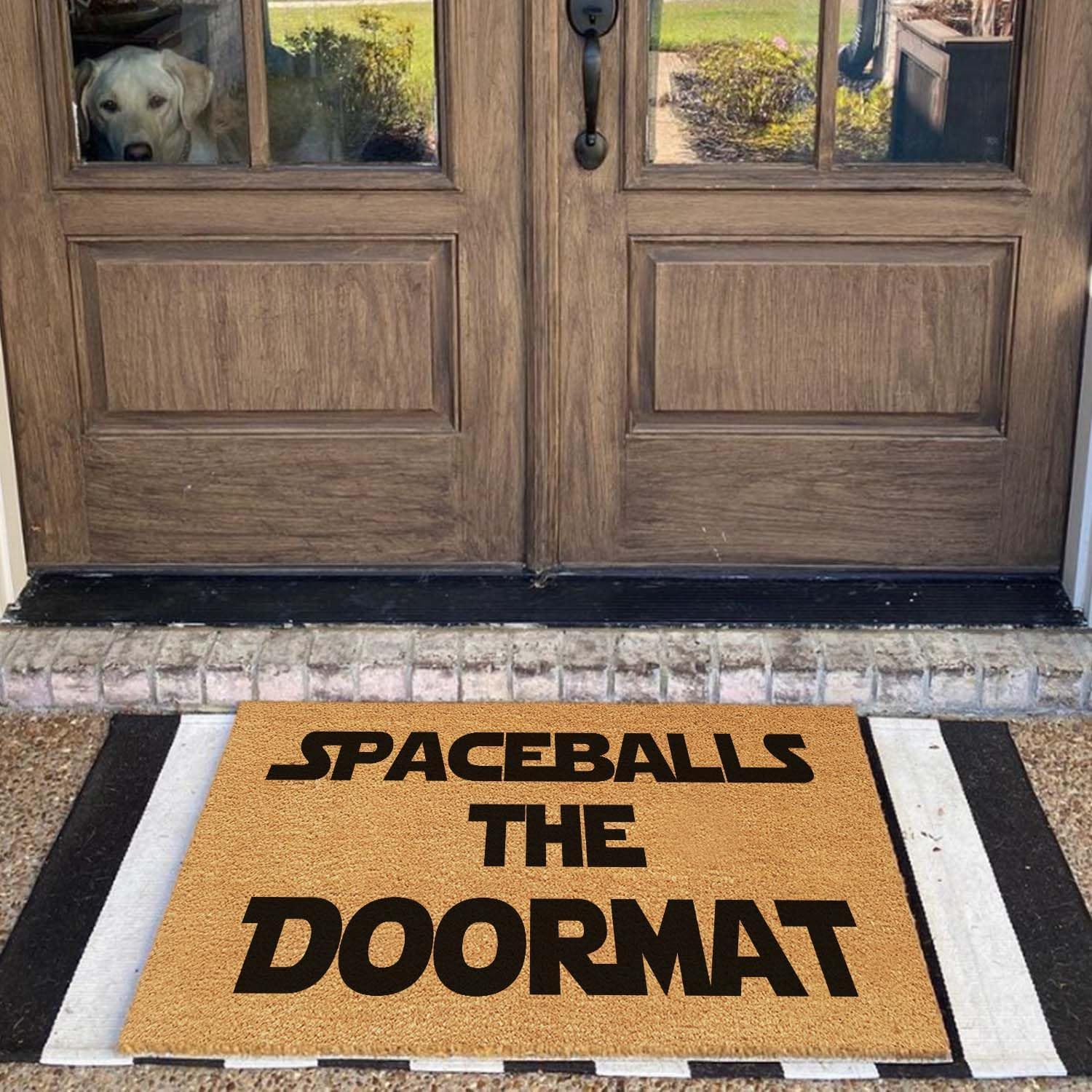 Funny Welcome Front Porch Patio Decor Mat for The Entrance Way Outdoor Personalized Rug with Heavy-Duty Non Slip Outdoor Coconut Coir Doormat 23.6 x 15.7inch (Spaceballs The Doormat)