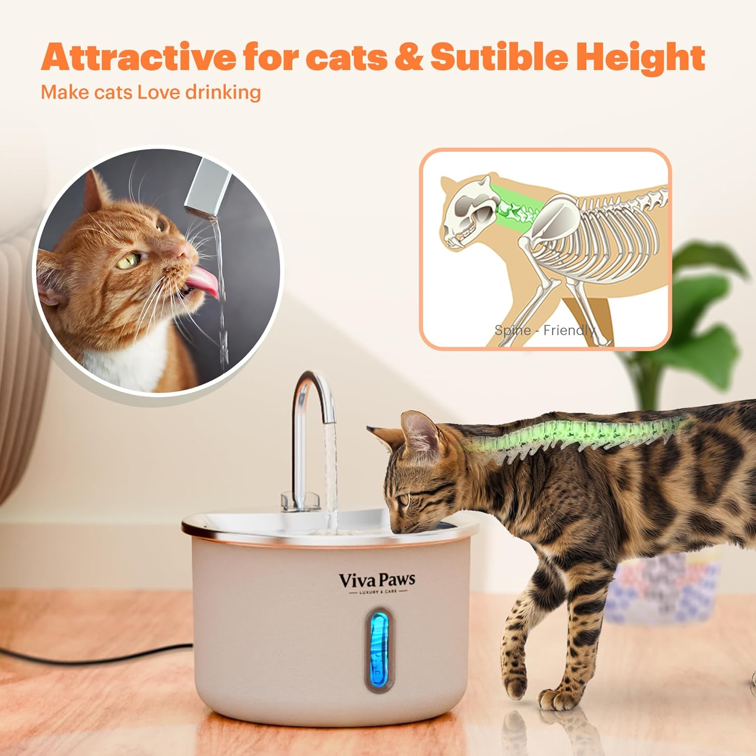 Viva Paws Cat Water Fountain Stainless Steel – Ultra-Quiet Automatic Drinking Fountain for Cats, 2.2L Indoor Pet Fountain with 4-Stage Filtration for Fresh & Clean Water