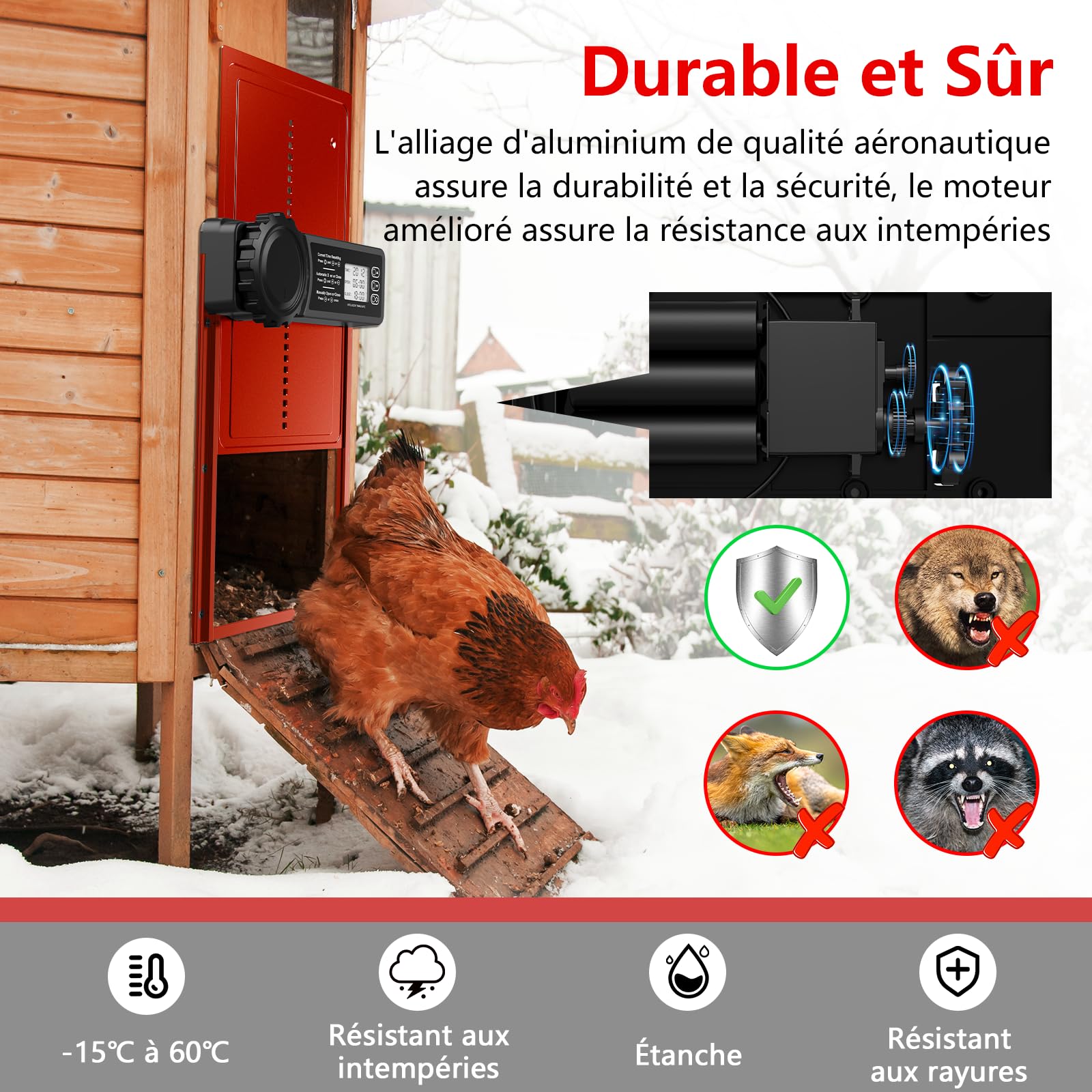 Porta Pollaio Automatico Batteria con Timer | Porta Automatica Pollaio in Alluminio con Display LCD Programmabile Impermeabile, Funzione Anti-pizzico, Apriporta Verticale