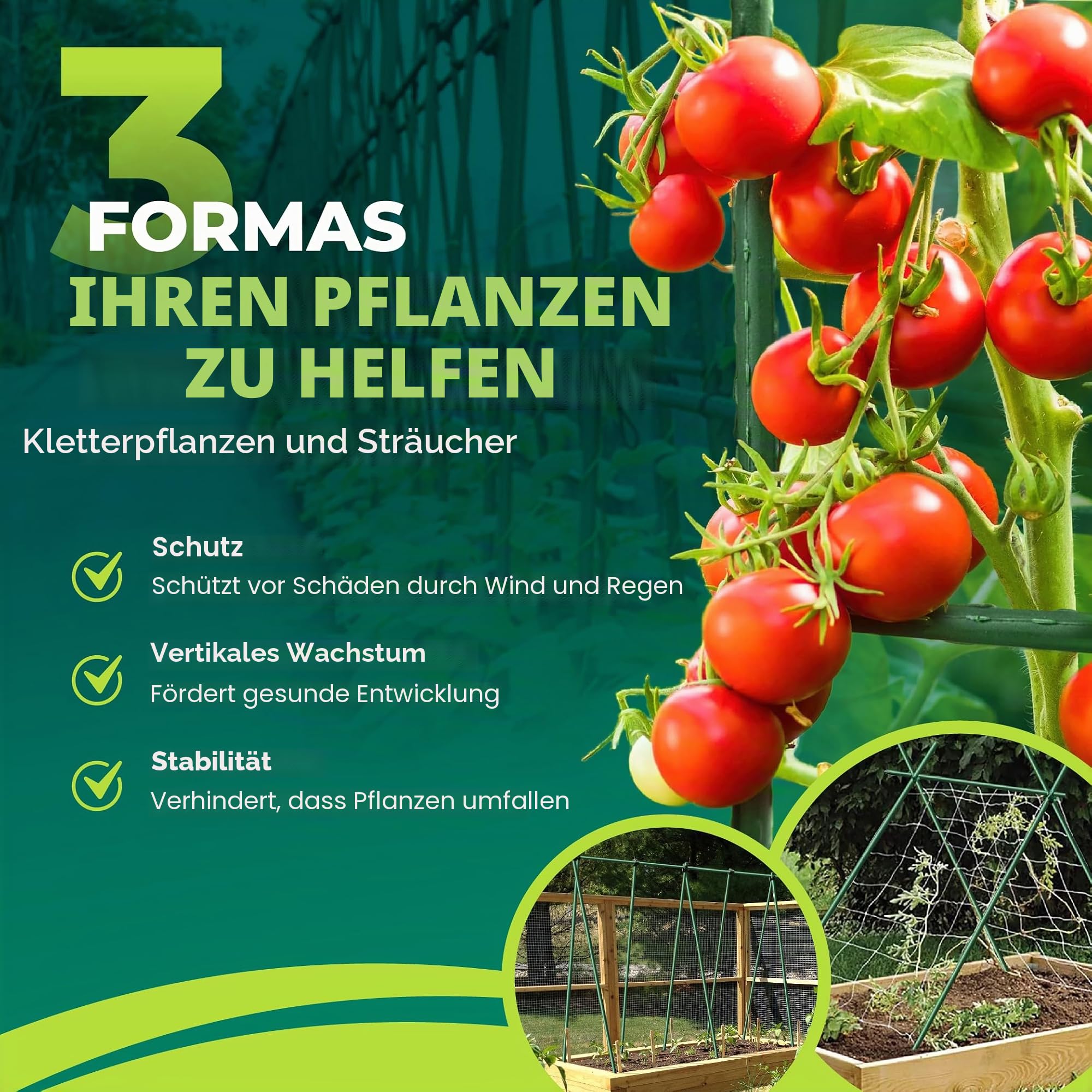 CONTROL GARDEN Packung mit 30 Pflanzenstützen aus kunststoffbeschichtetem Stahl, Höhe 180 cm, Ø 10 mm, Wachstumsstäbe für Pflanzen, geeignet für den Innen- und Außenbereich