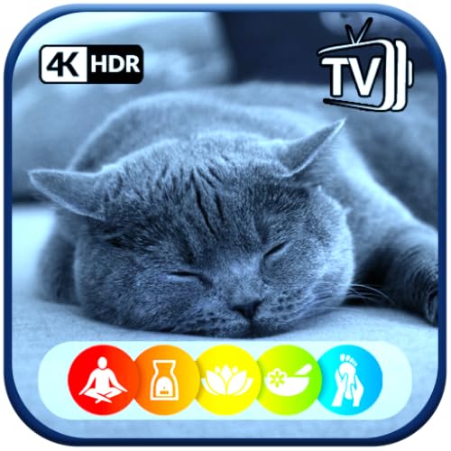 Relaxing Lullaby for Cat and Kitten On Fire TV | NO ADS