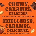 Pure Protein Bars - Nutritious, Gluten Free bar, made with Whey protein blend - low sugar, protein snack. Deliciously satisfying. Made in Canada, Chocolate Peanut Caramel (Pack of 6)