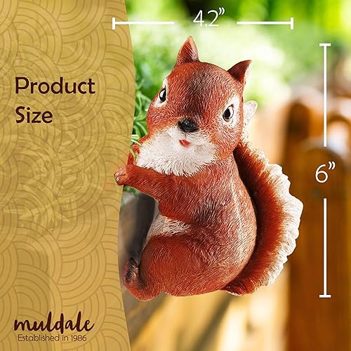 Miniatura 5 de Wrenbury Adorno de ardilla roja para exteriores para patio y jardín, estatua de Sammy la ardilla para jardín, figura de decoración con detalles
