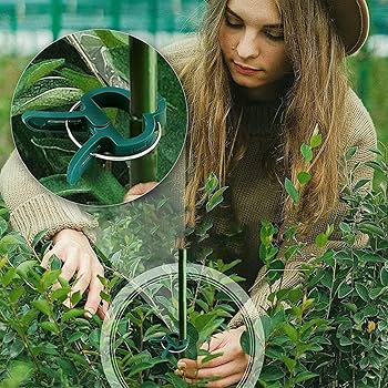 Amazon.co.jp: 40個入 紐誘引クリップ 植物クリップ つる 茎の支柱止め