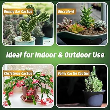 Cactus Feed Spray 1L - Natural Cactus Fertiliser For Healthy Growth | Succulent Plant Food For Indoor & Outdoor | All-Natural Cactus Food With Seaweed