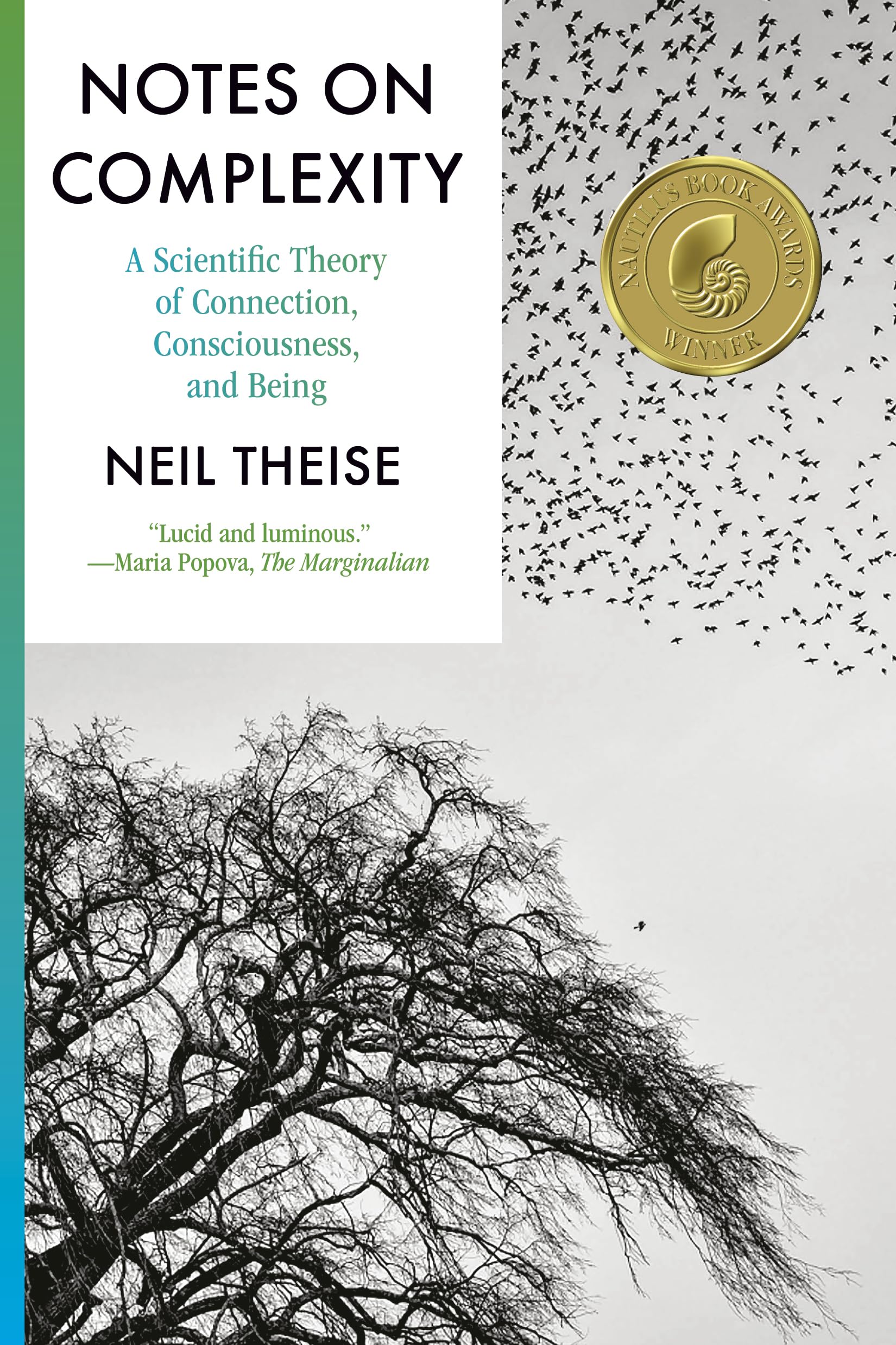 Notes on Complexity: A Scientific Theory of Connection, Consciousness, and Being