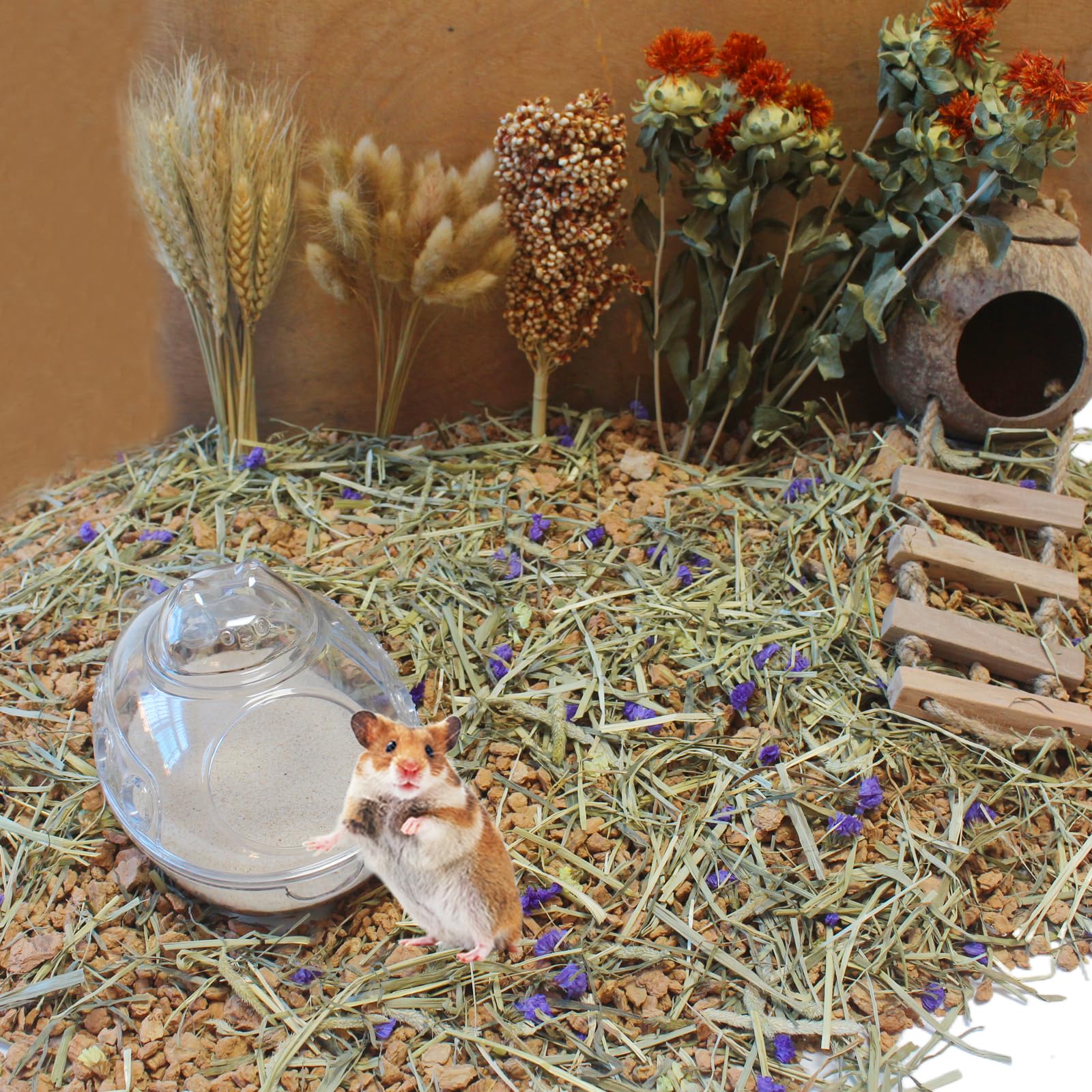 Arena de baño para hámster, arena del desierto sin polvo o arena para orinal para hámster, chinchillas, jerbo, ratones sirios pequeños (beige)