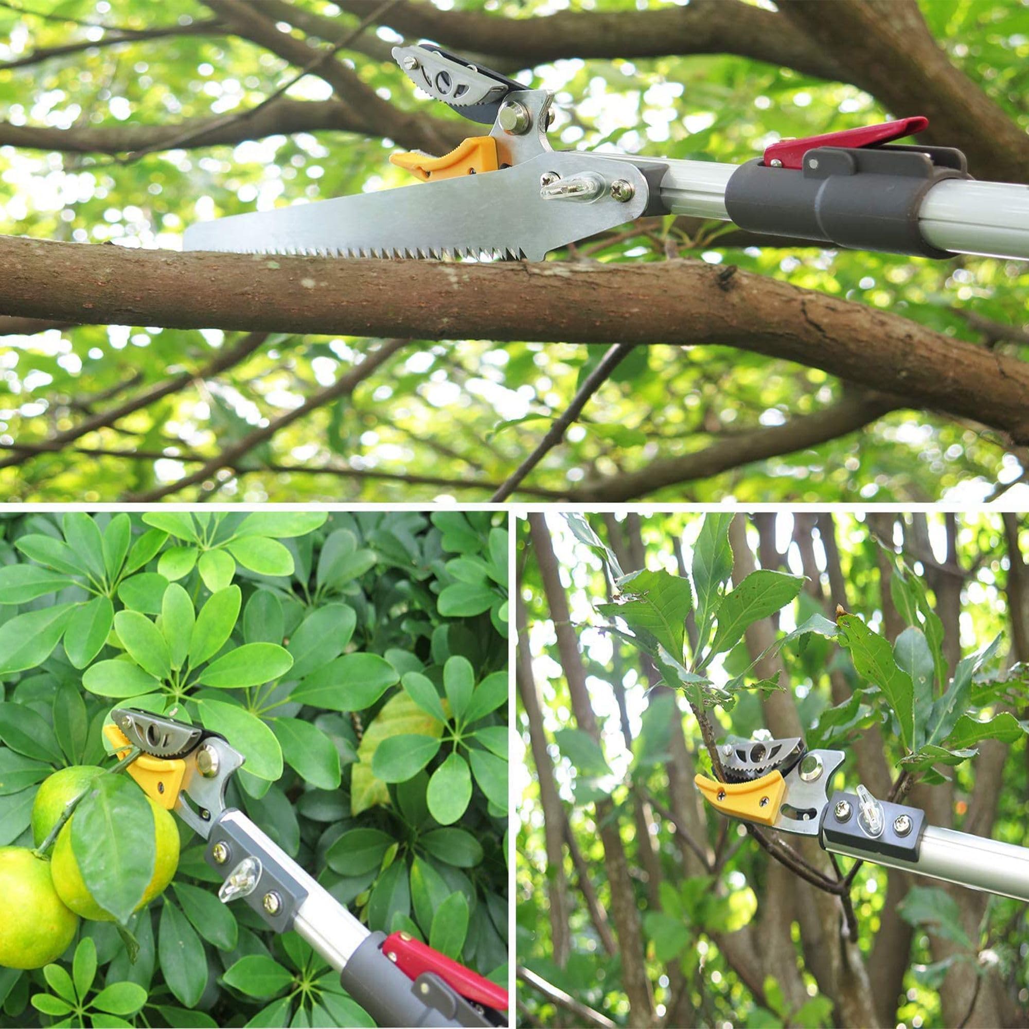FISHTEC - Tijeras de jardín telescópicas extensibles de FISHTEC: de 1,37 a 2,2 m + sierra para el cuidado de árboles – tijeras para árboles – poda y corte de ramas – hoja de acero + yunque de agarre